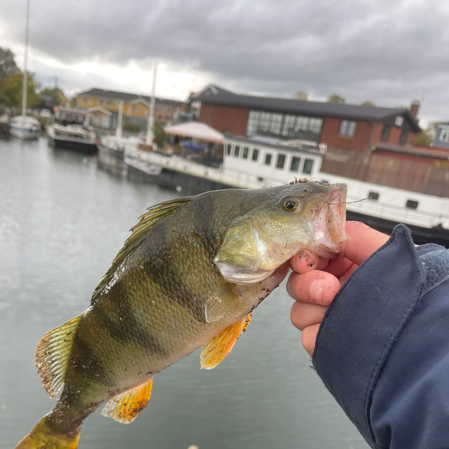 catch