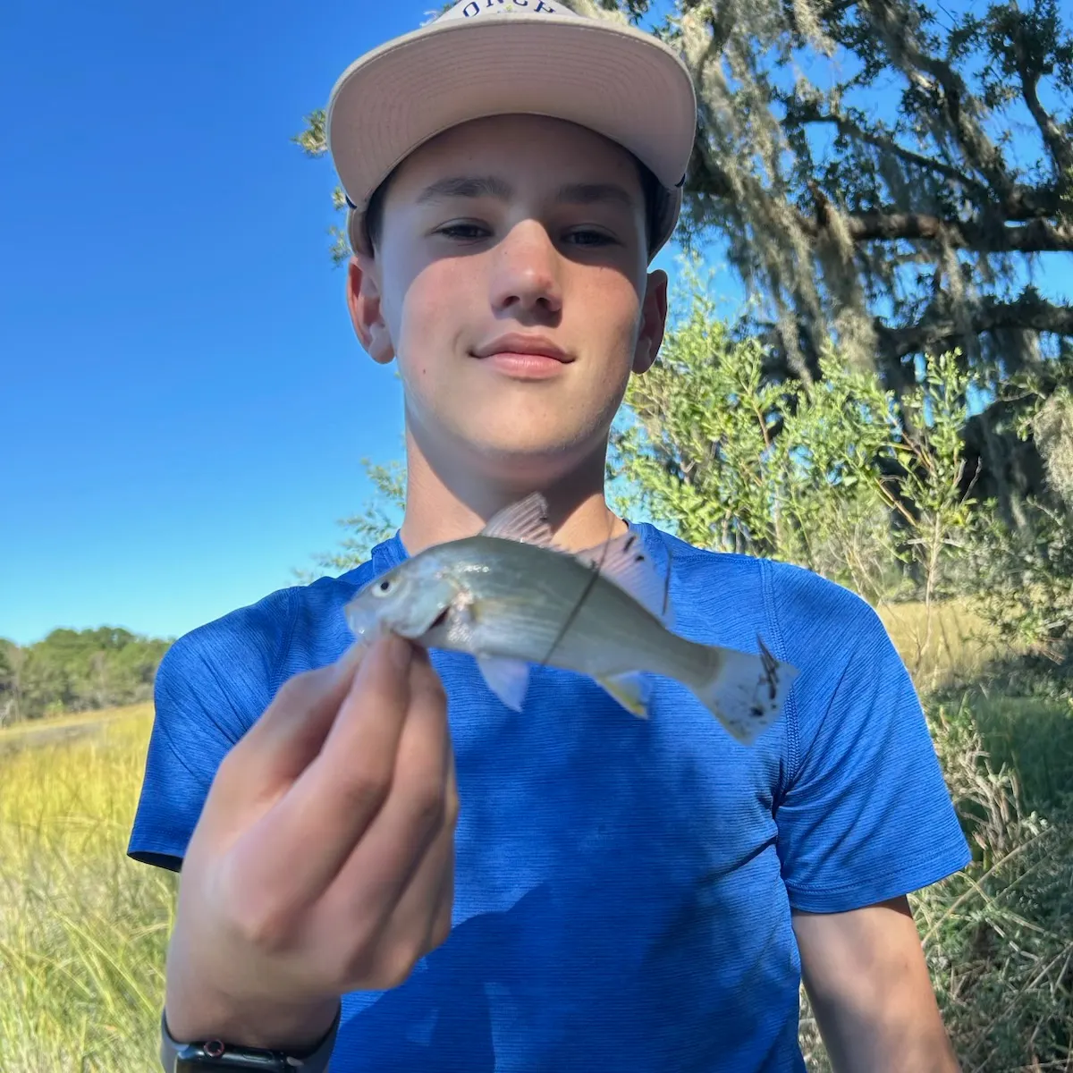 Spot croaker caught on Fishbrain