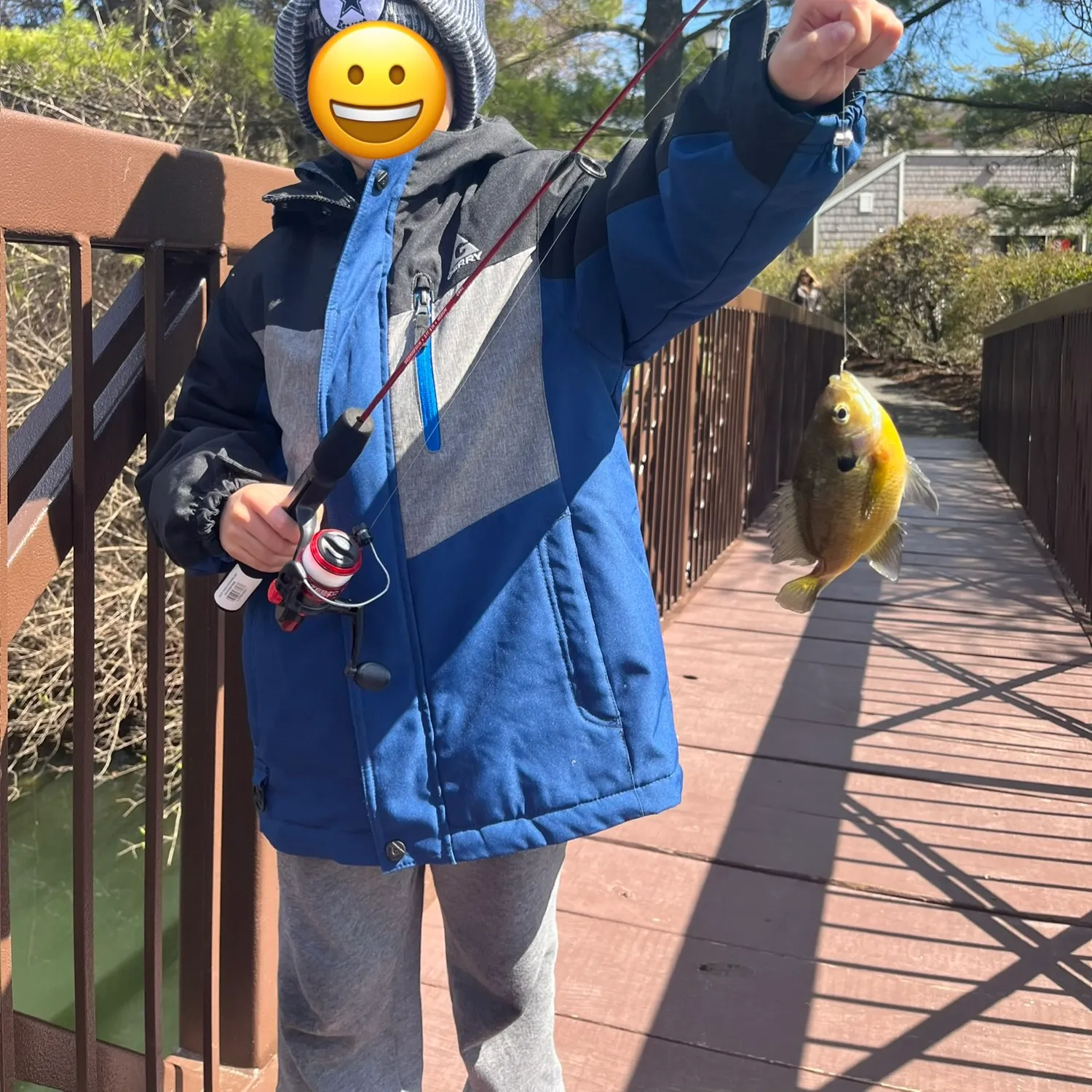 Bluegill caught on Fishbrain