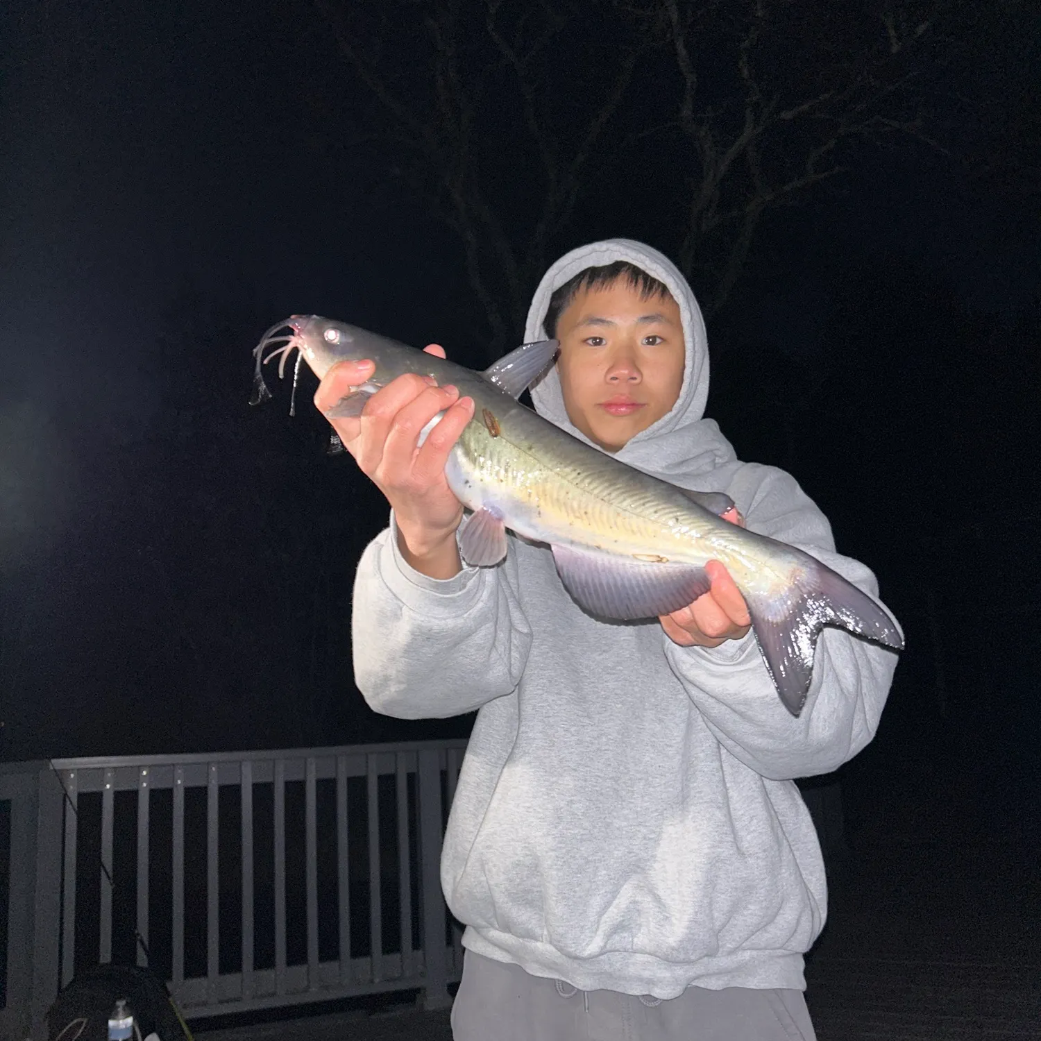 Channel catfish caught on Fishbrain