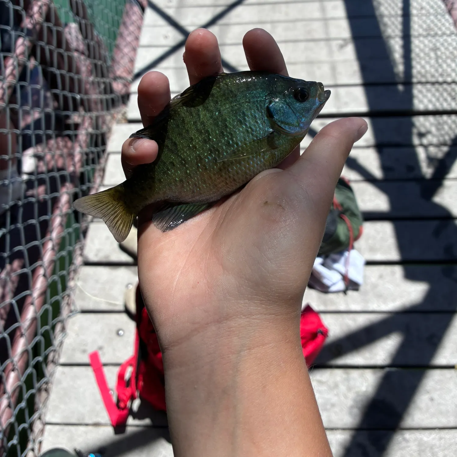catch