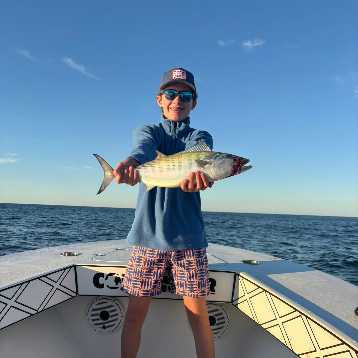 Atlantic bonito caught on Fishbrain