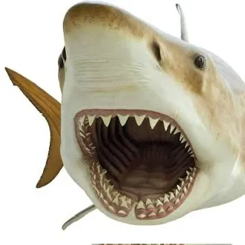 The most recent Silvertip shark catches on Fishbrain