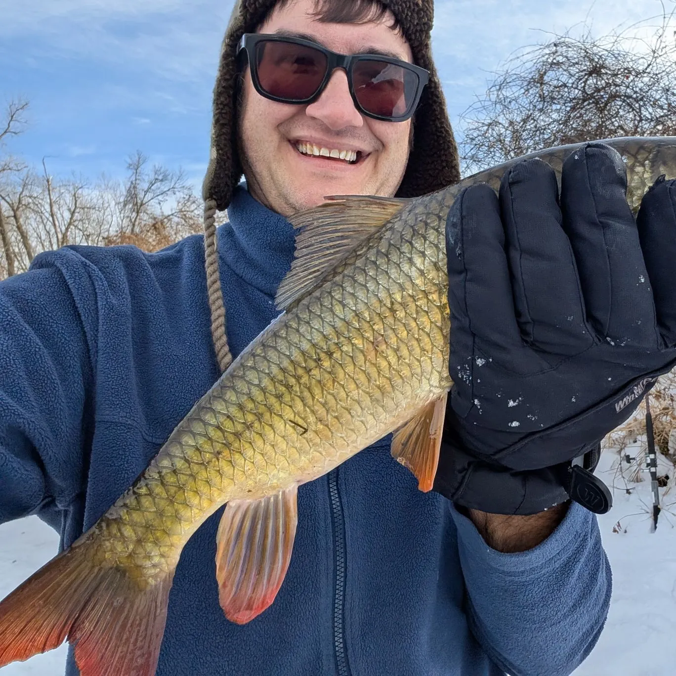 The most recent Shorthead redhorse catches on Fishbrain