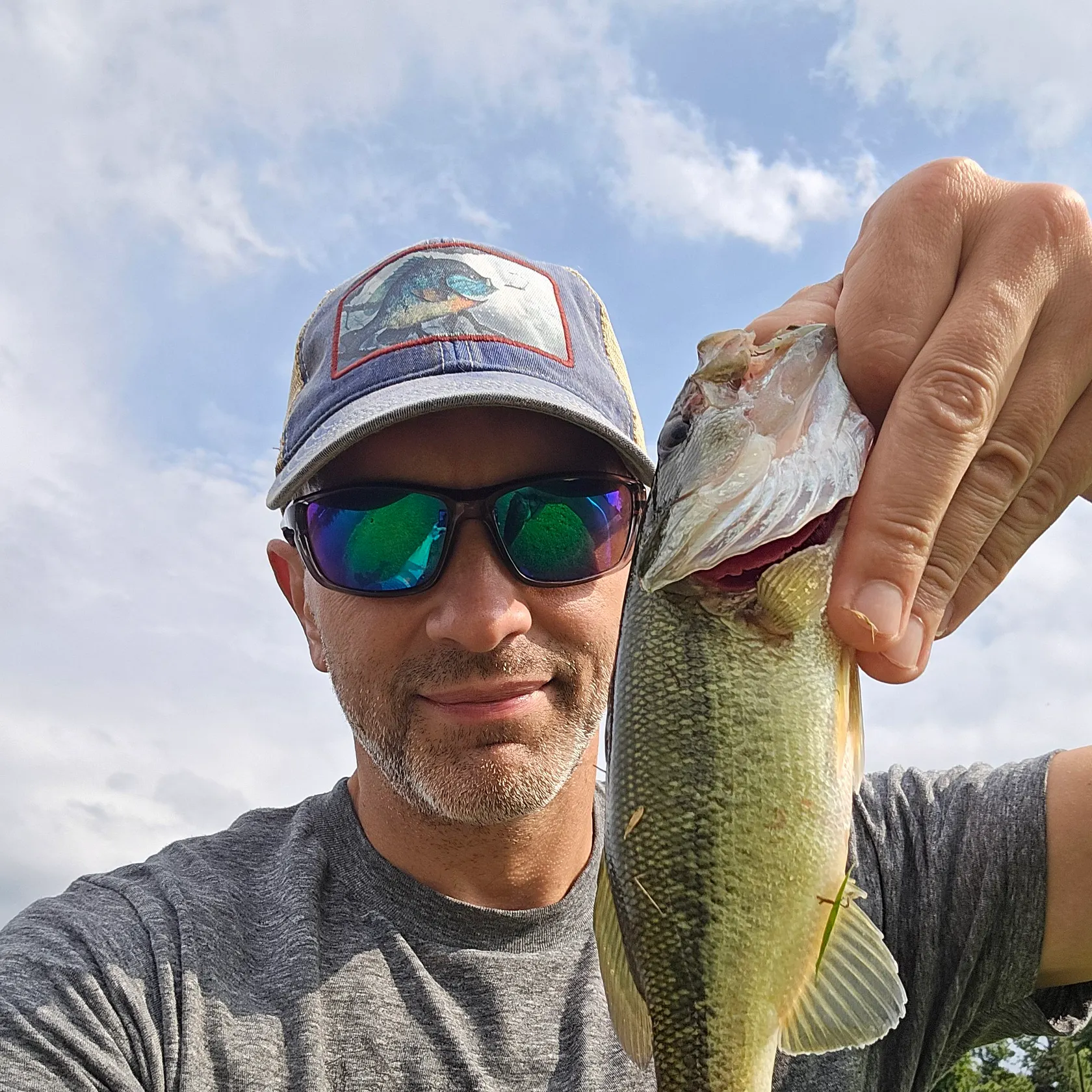 Largemouth bass caught on Fishbrain