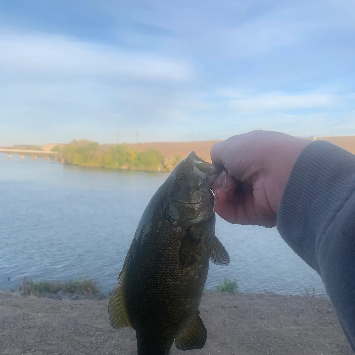 Smallmouth bass caught on Fishbrain