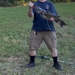 Channel catfish caught on Fishbrain