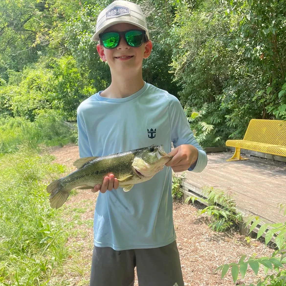 Largemouth bass caught on Fishbrain