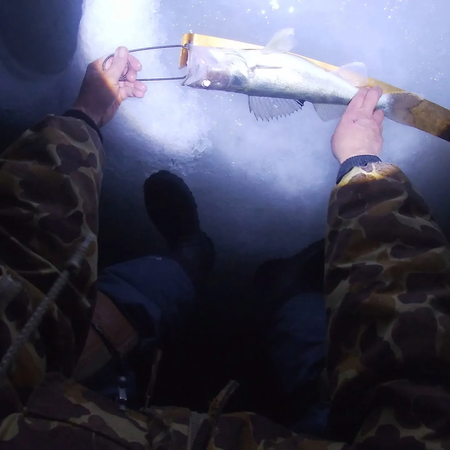 The most recent Walleye catches on Fishbrain