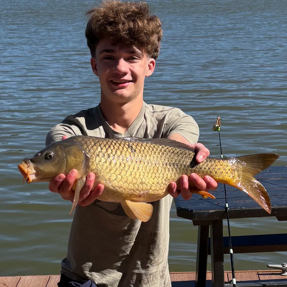 Common carp caught on Fishbrain