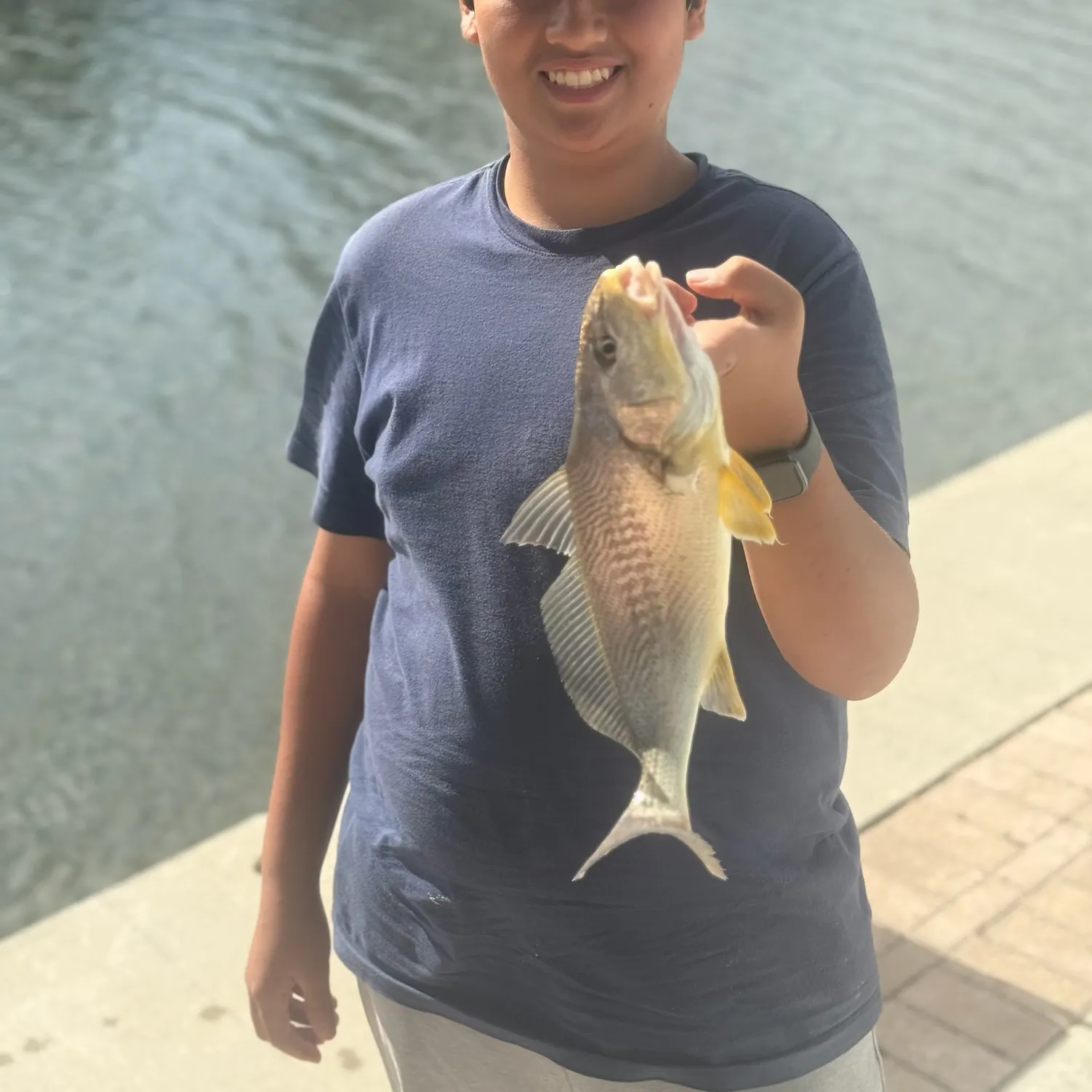 The most recent Sand drum catches on Fishbrain