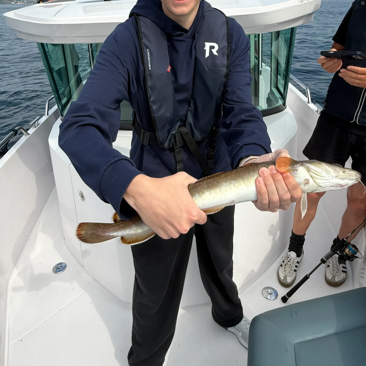 The most recent Common ling catches on Fishbrain