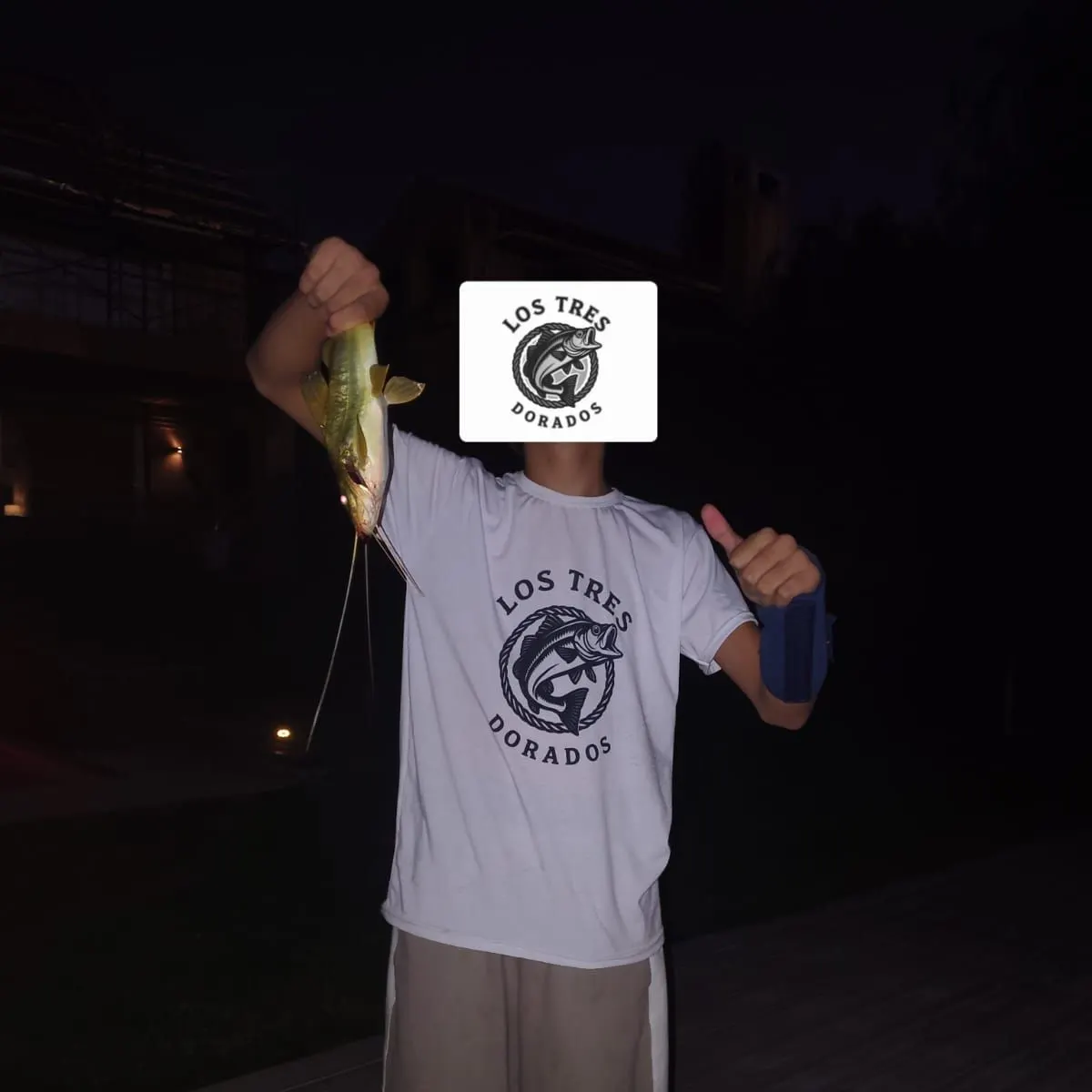 The most recent Spotted pimelodus catches on Fishbrain