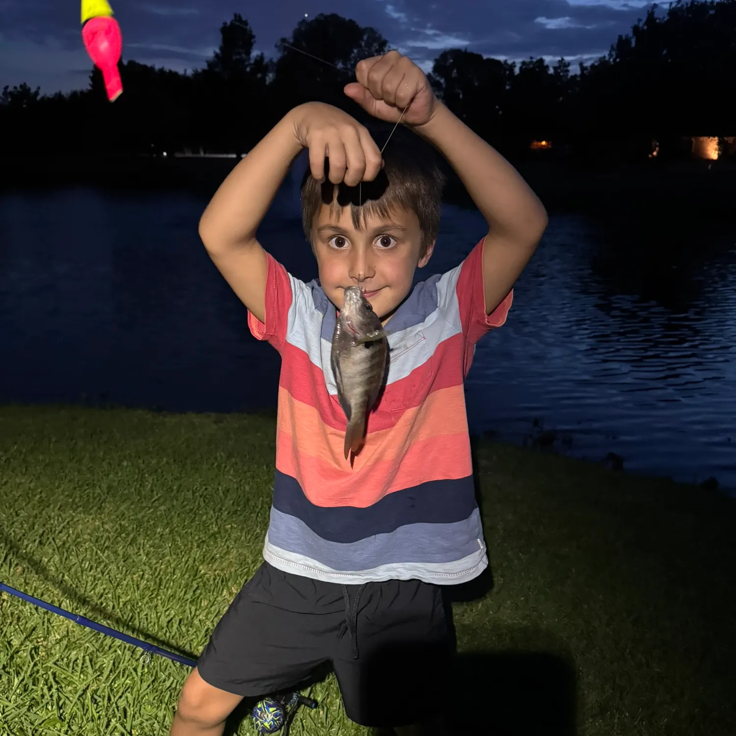 Nurse shark caught on Fishbrain