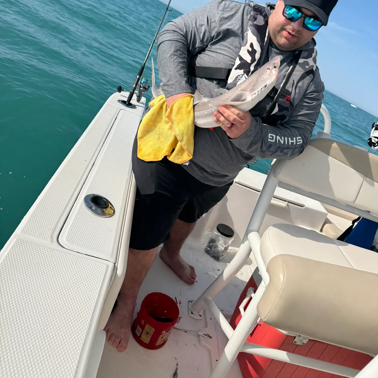 The most recent Piked dogfish catches on Fishbrain