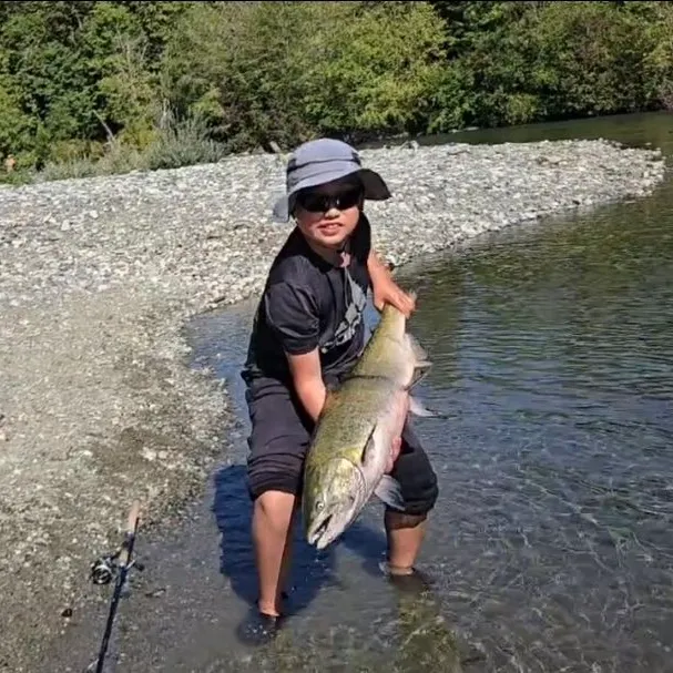 Chinook salmon caught on Fishbrain