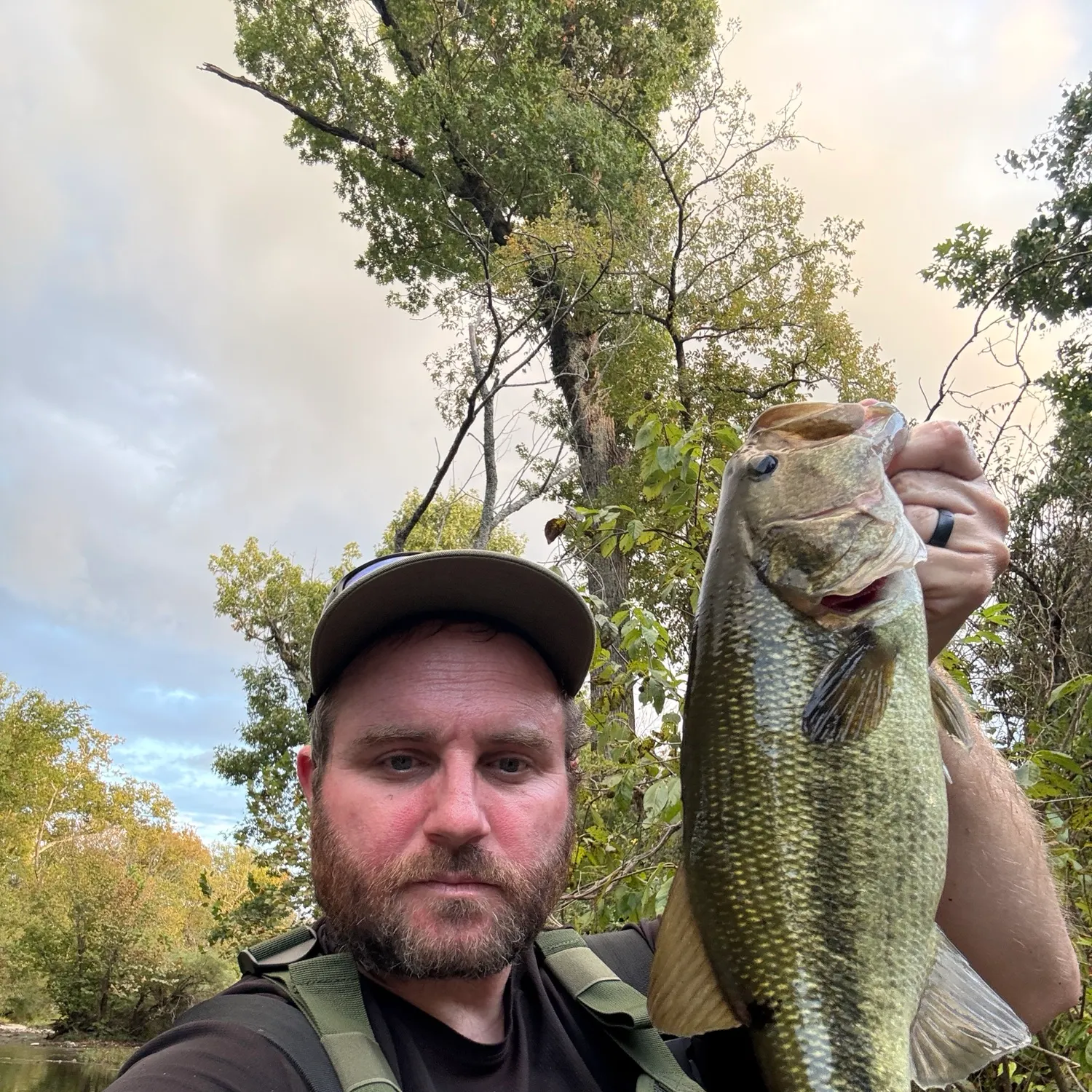 Largemouth bass caught on Fishbrain