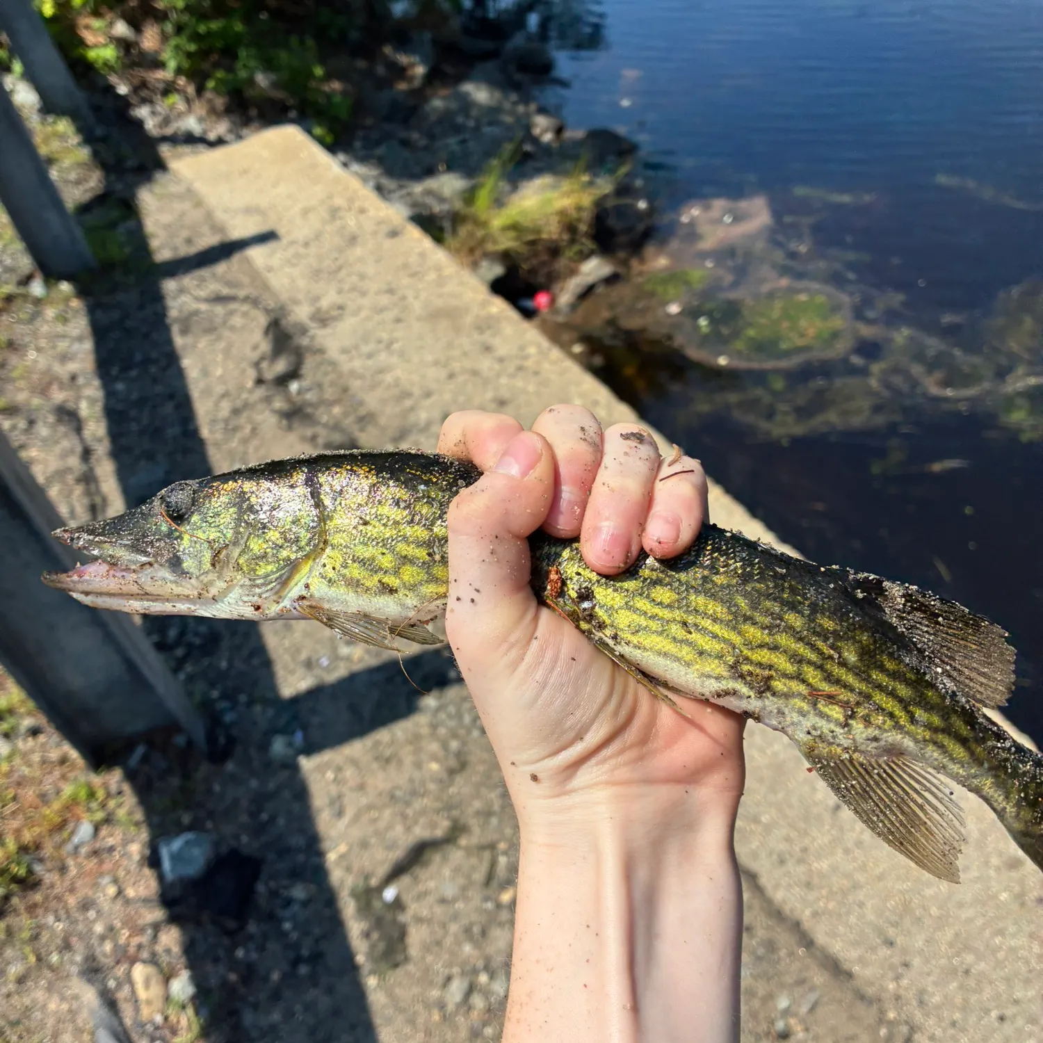 catch