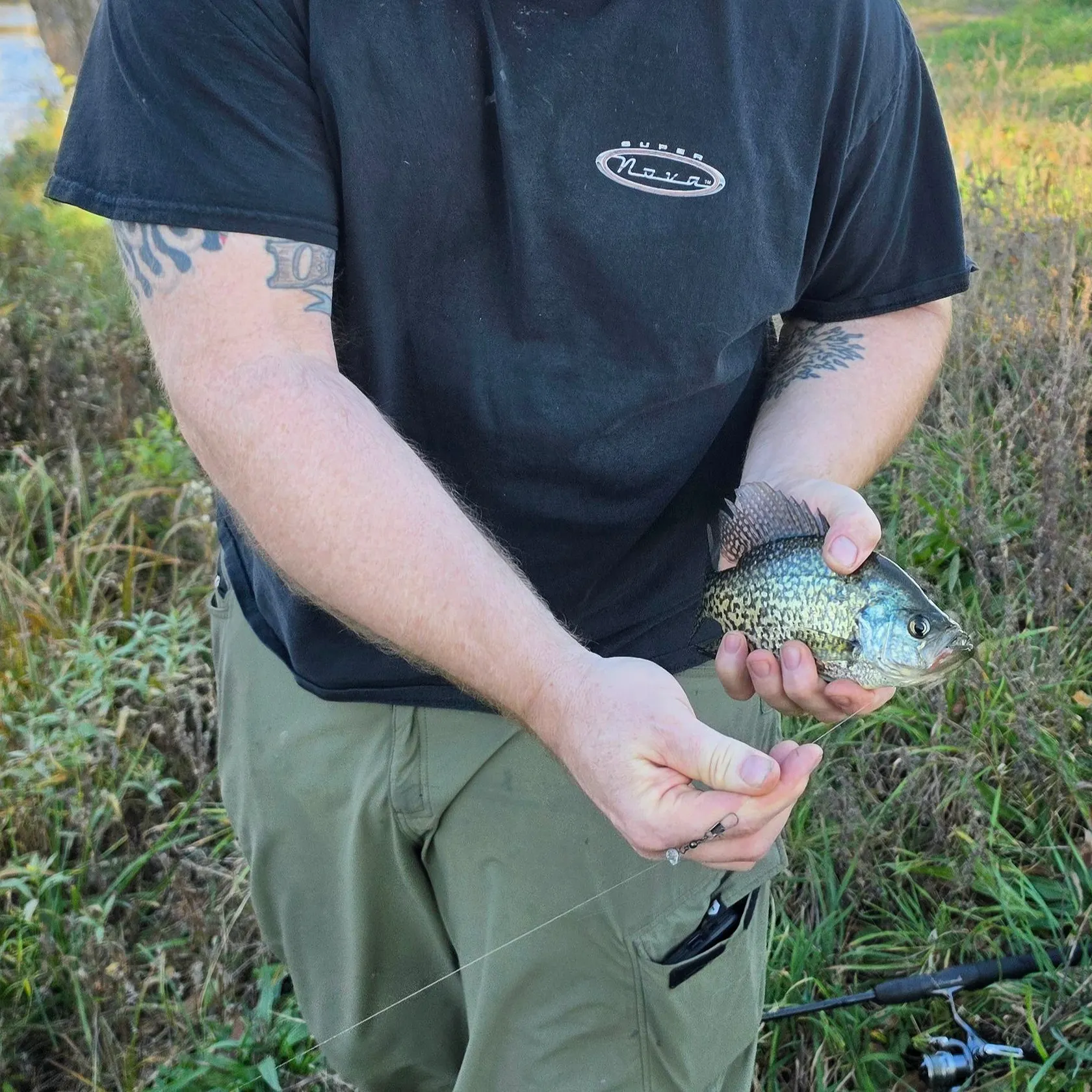 Black crappie caught on Fishbrain