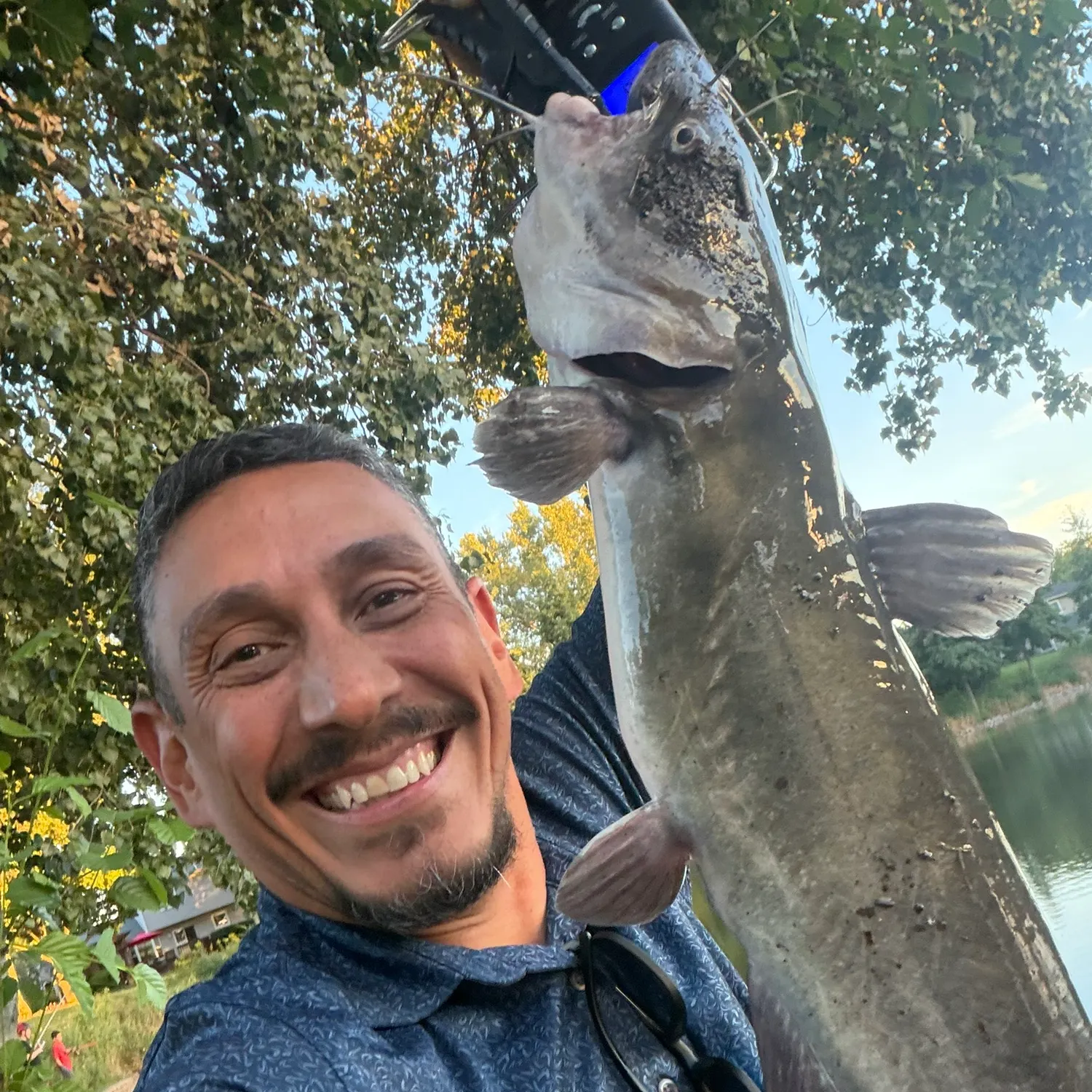 Channel catfish caught on Fishbrain