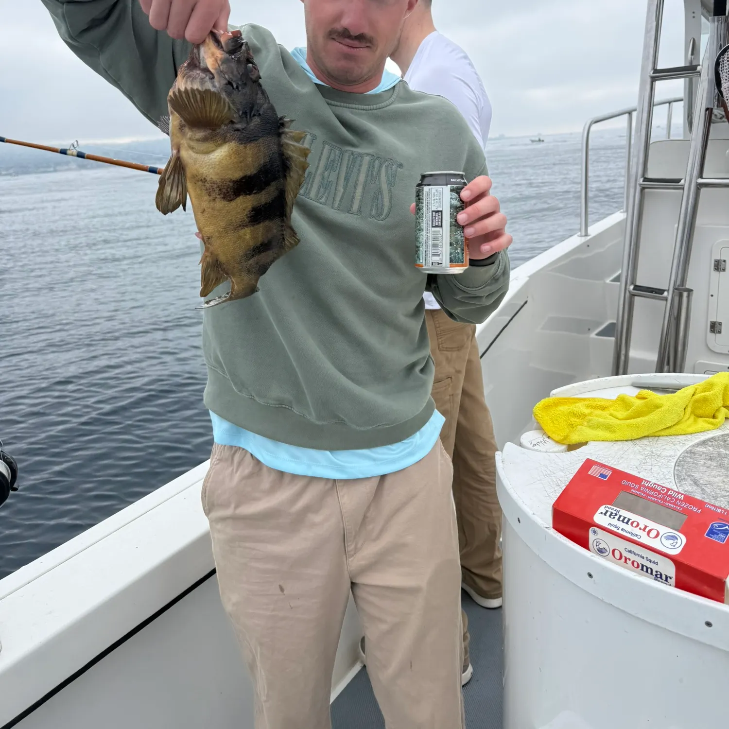 The most recent Tiger rockfish catches on Fishbrain