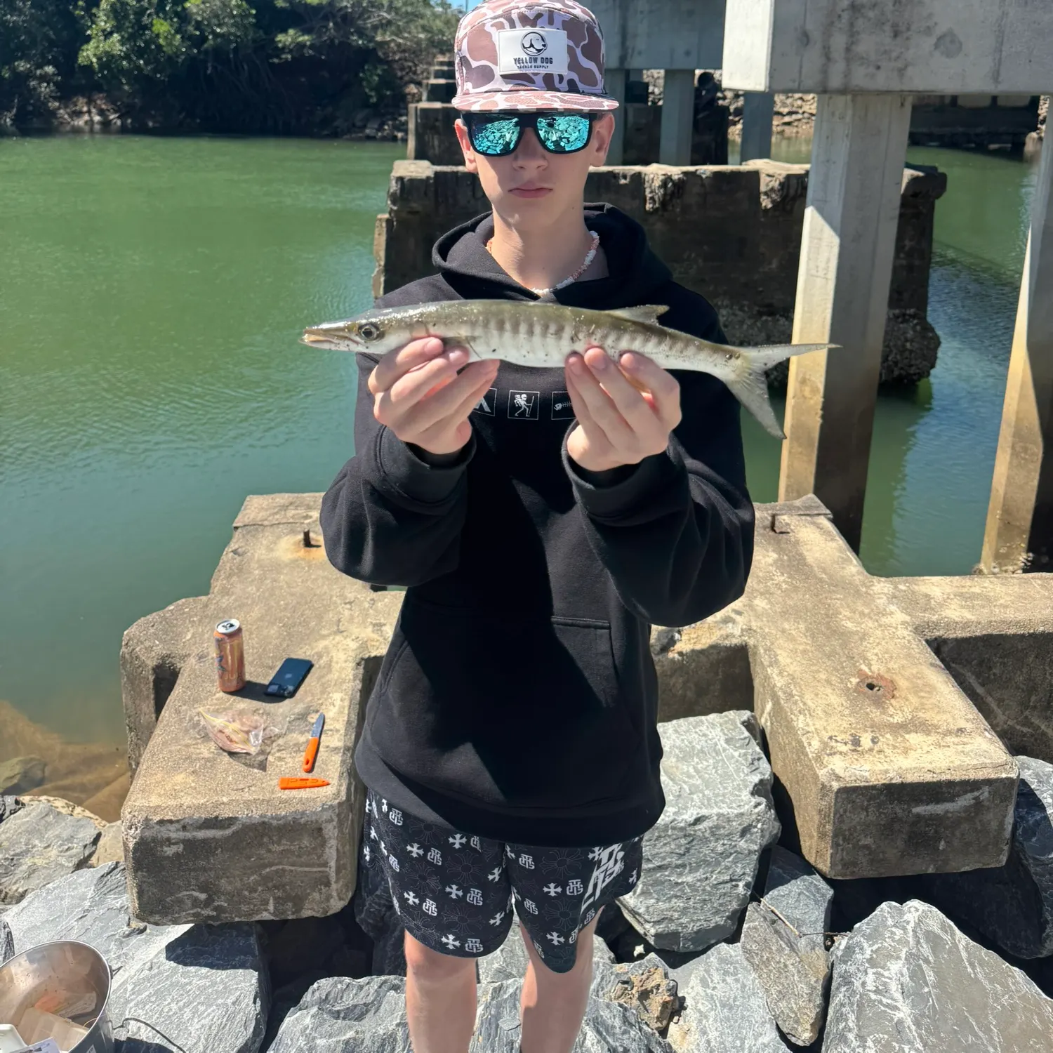recently logged catches