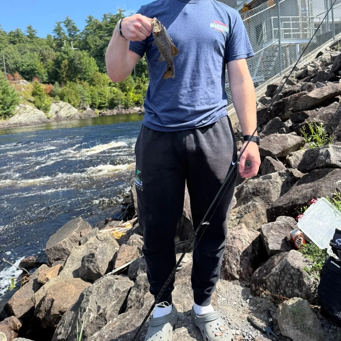 Smallmouth bass caught on Fishbrain