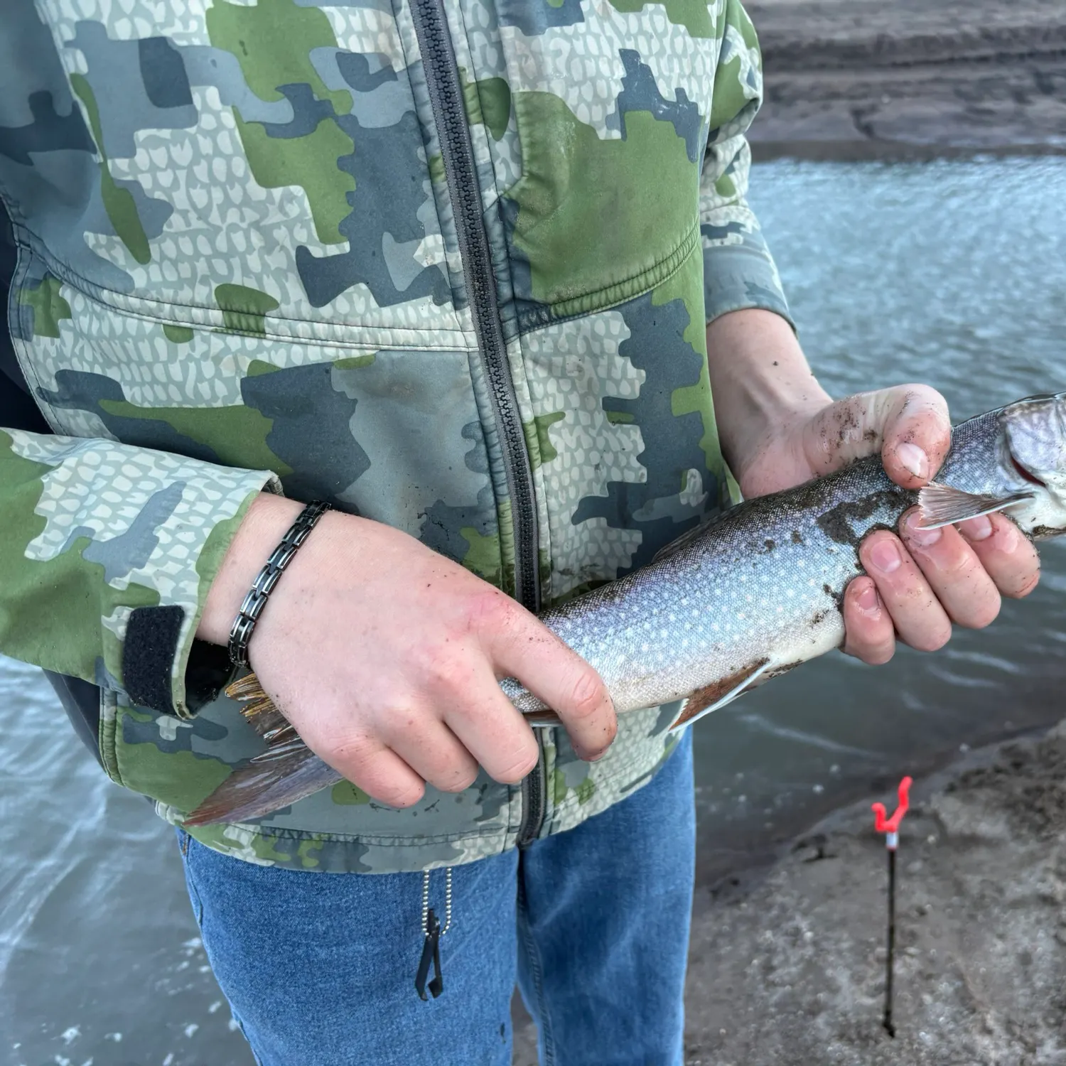 Splake caught on Fishbrain