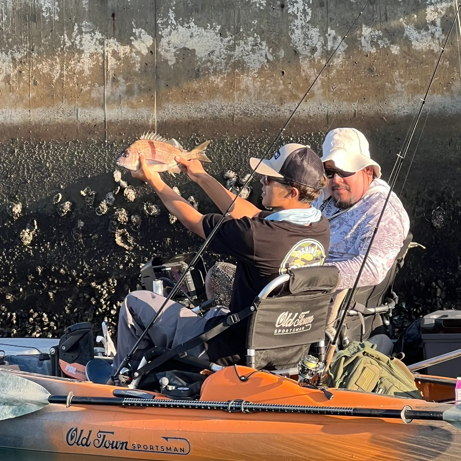 The most recent Sargo catches on Fishbrain