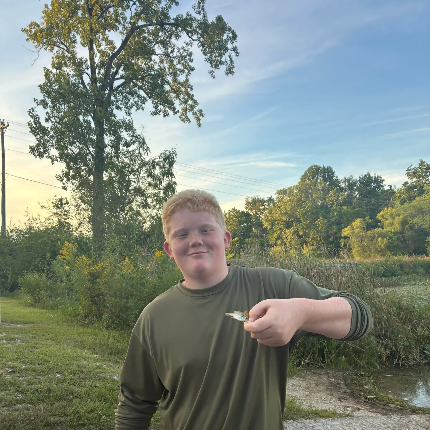 Bluegill caught on Fishbrain
