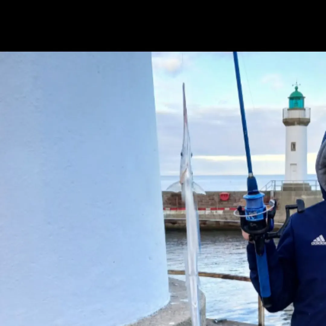 The most recent European garfish catches on Fishbrain