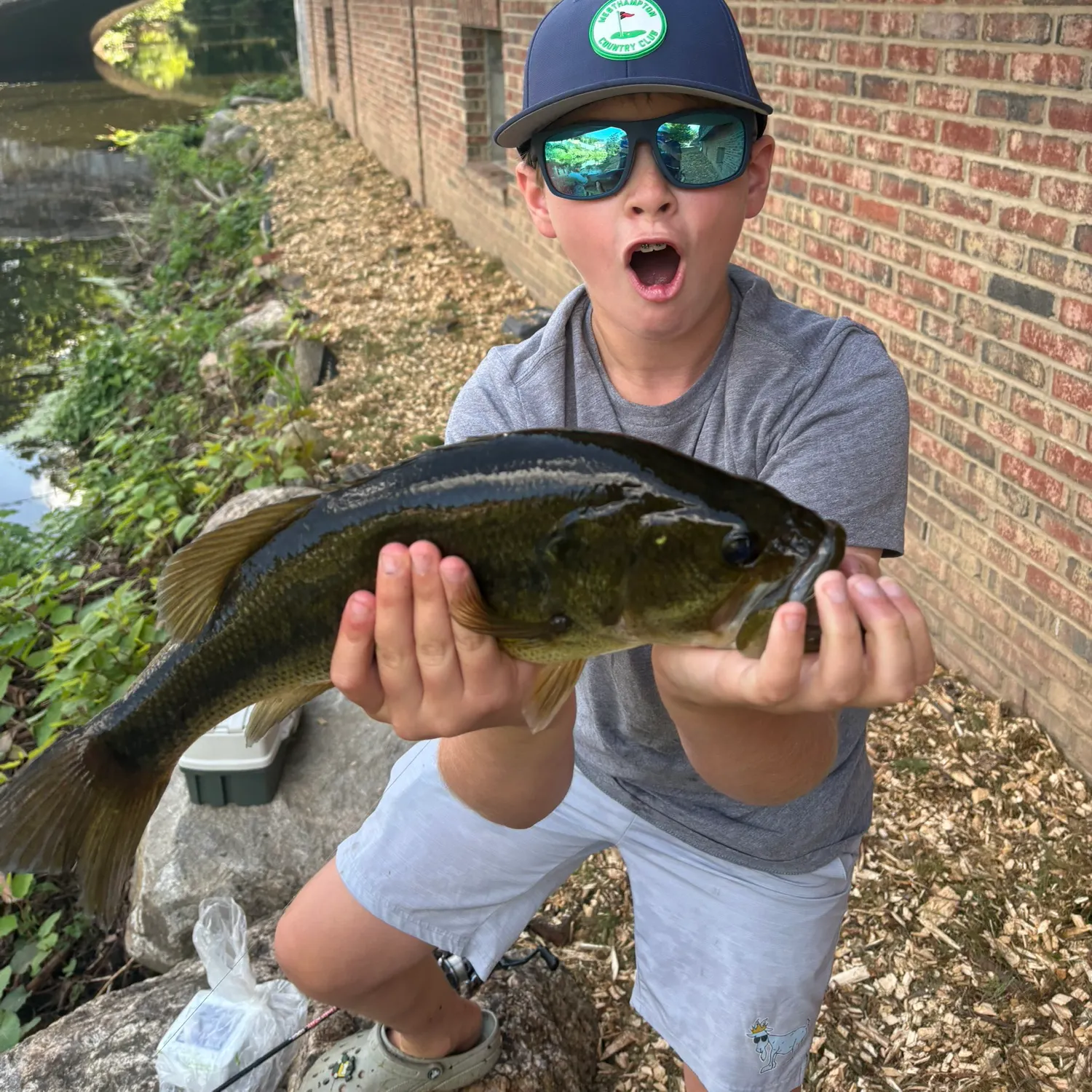 Largemouth bass caught on Fishbrain