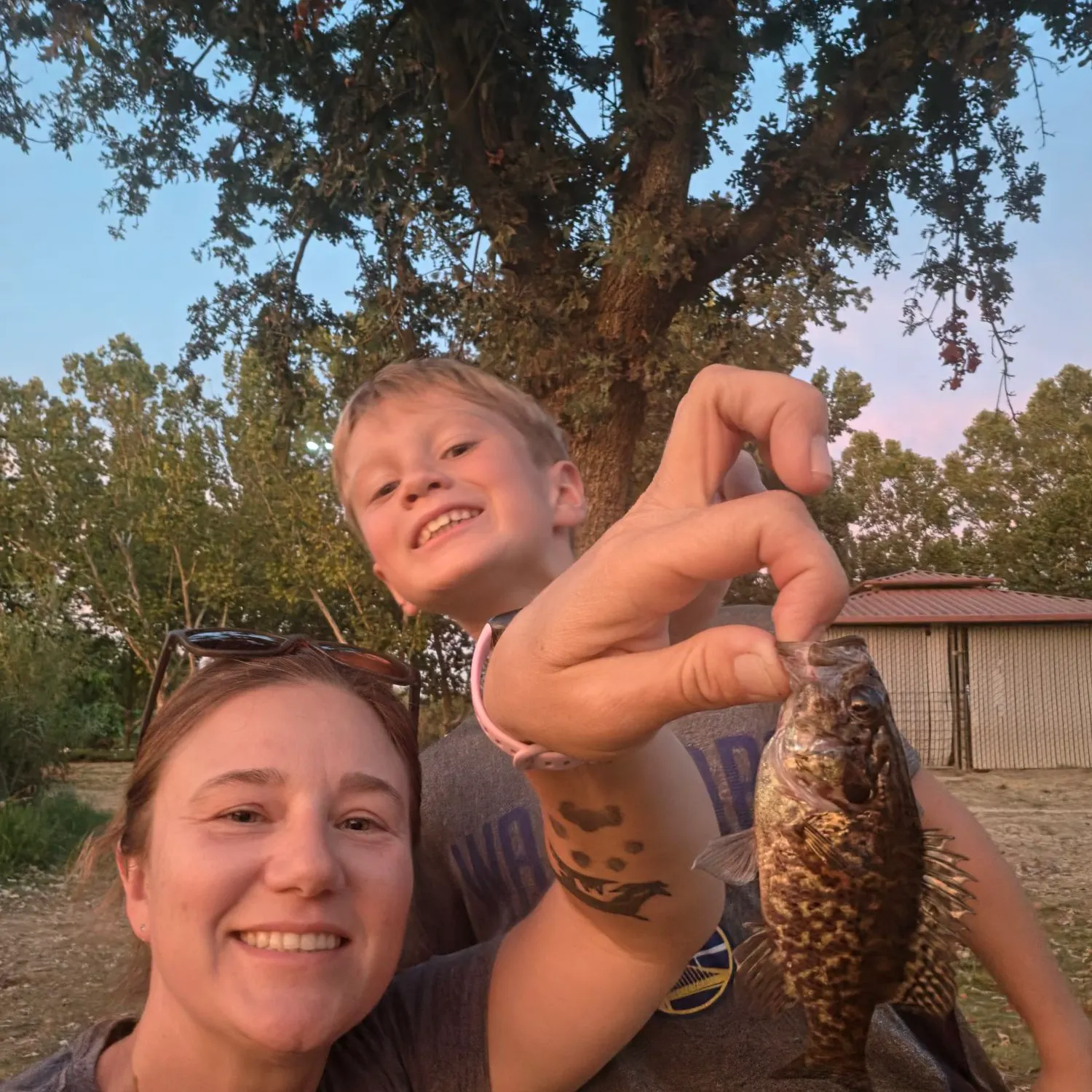 Black crappie caught on Fishbrain
