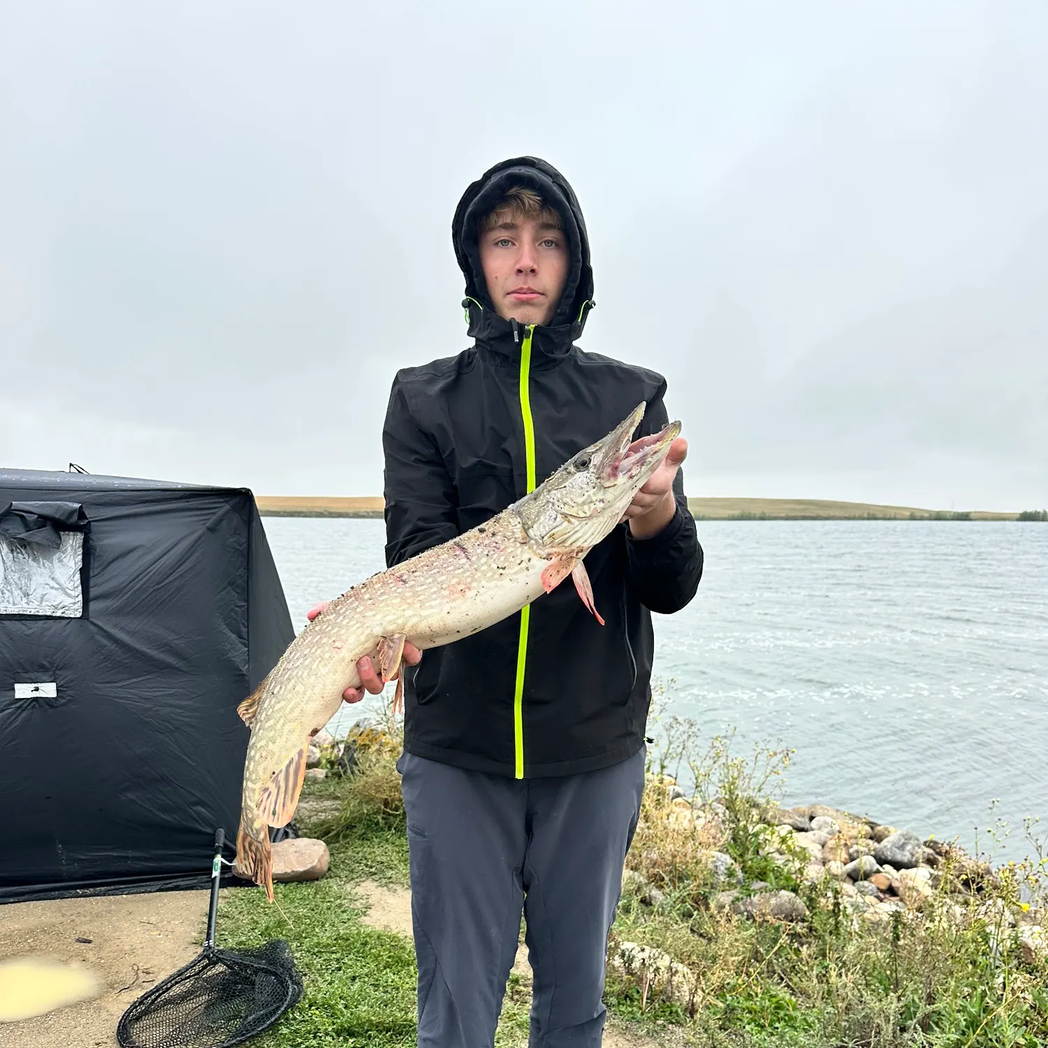 Northern pike caught on Fishbrain