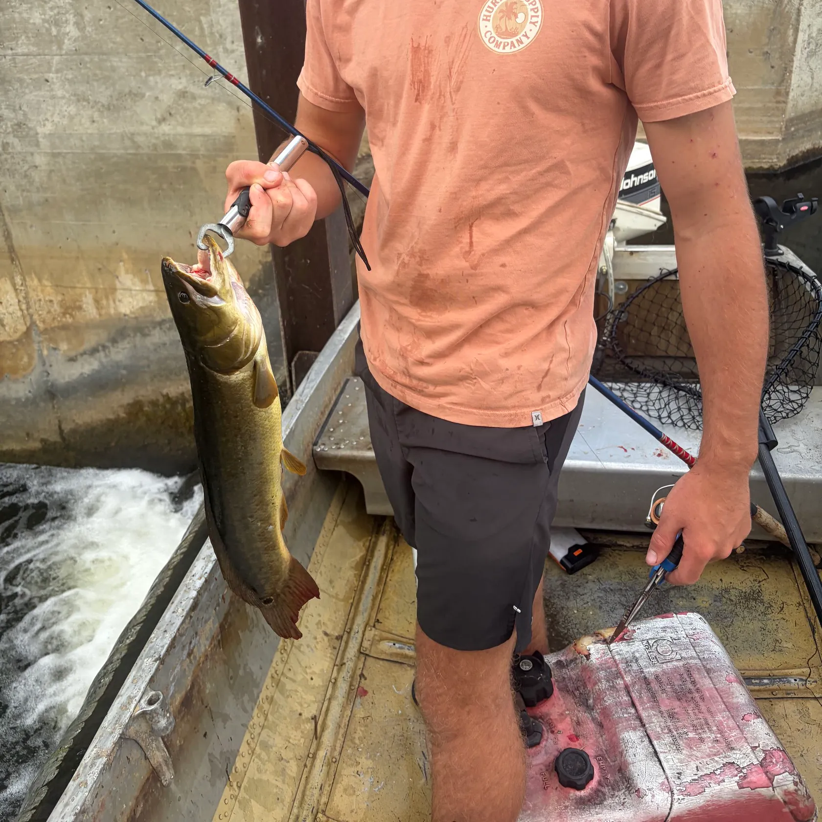 The most recent Ruddy bowfin catches on Fishbrain