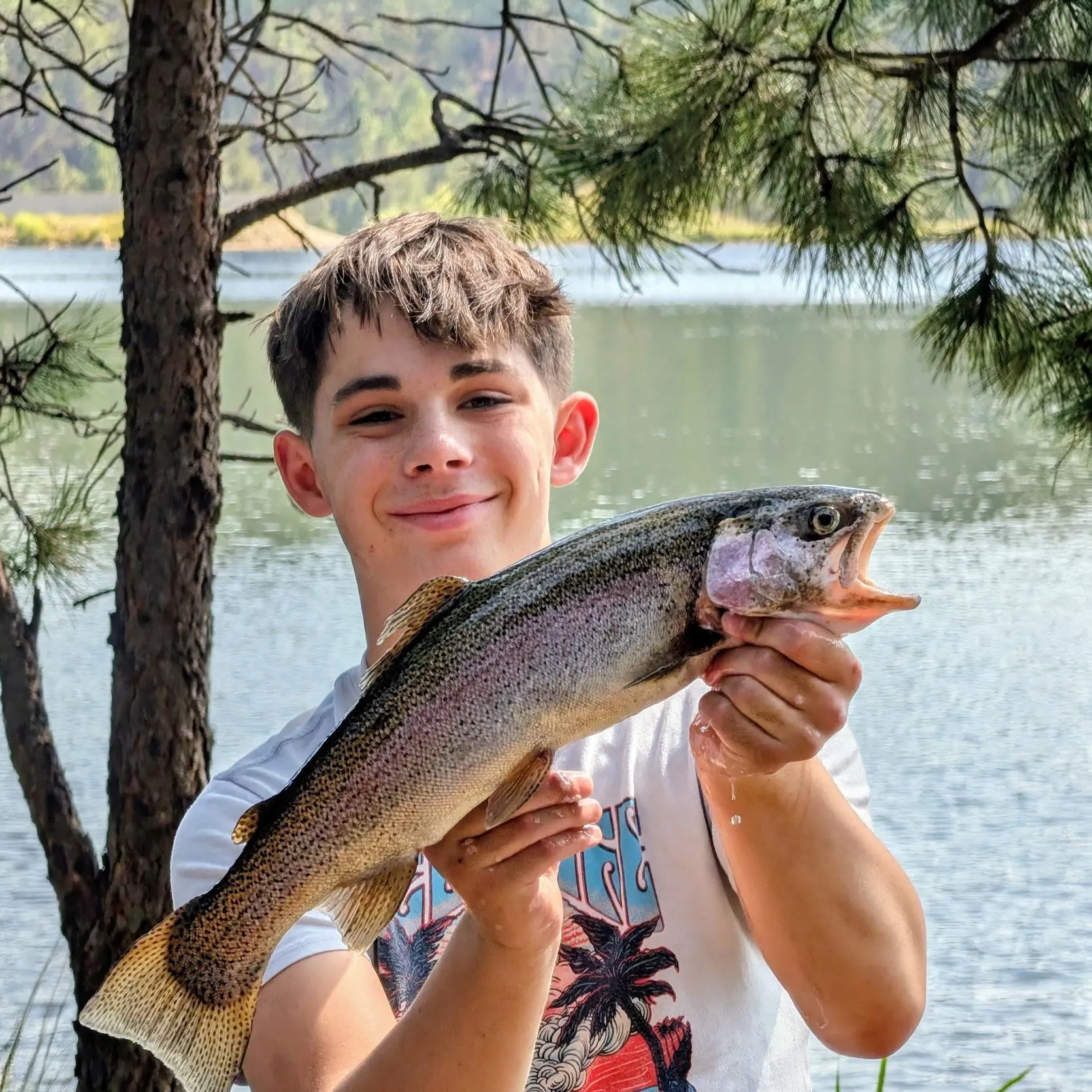 Rainbow trout caught on Fishbrain