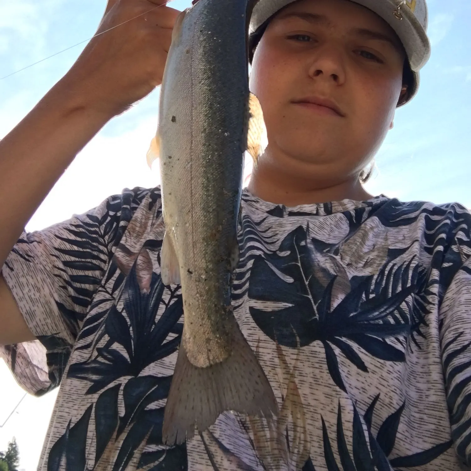 angler catch
