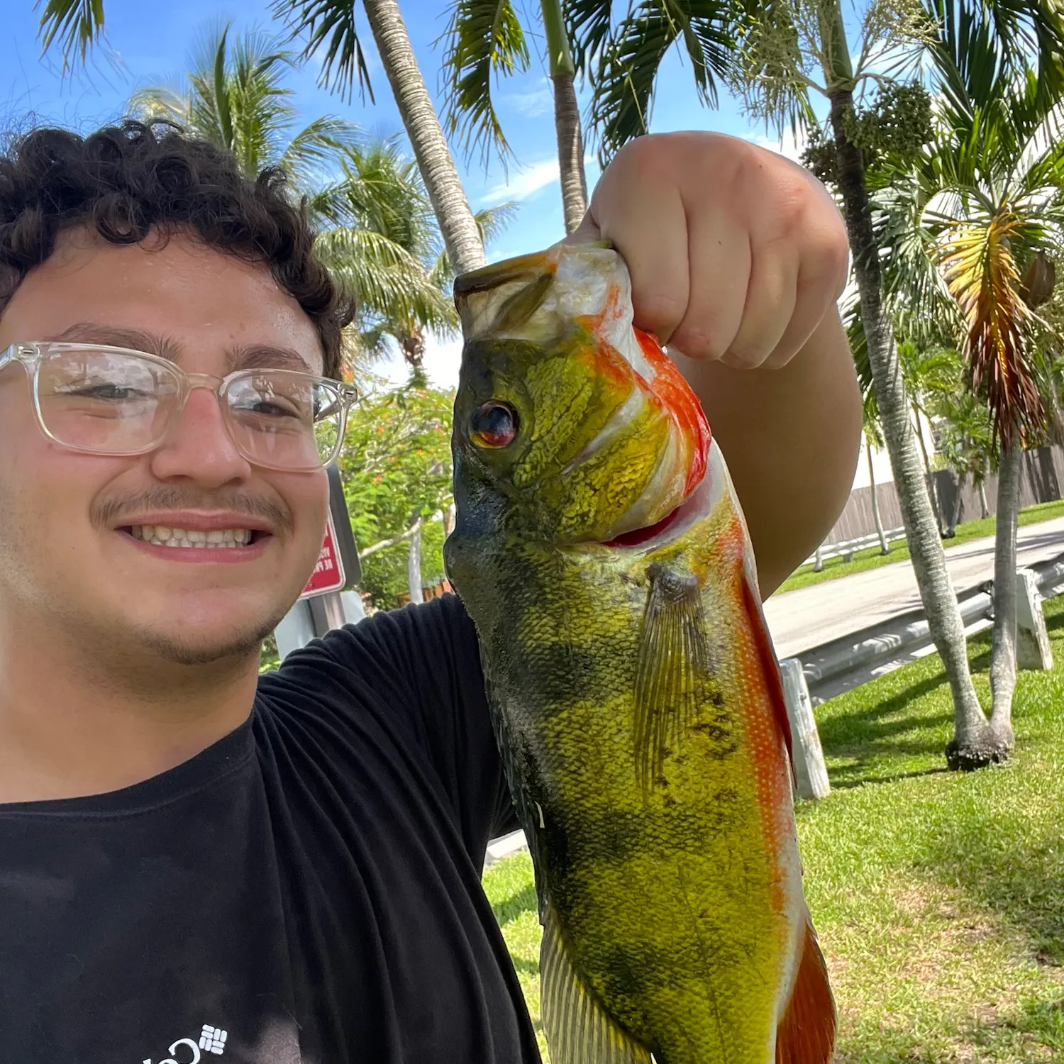 Butterfly peacock bass caught on Fishbrain
