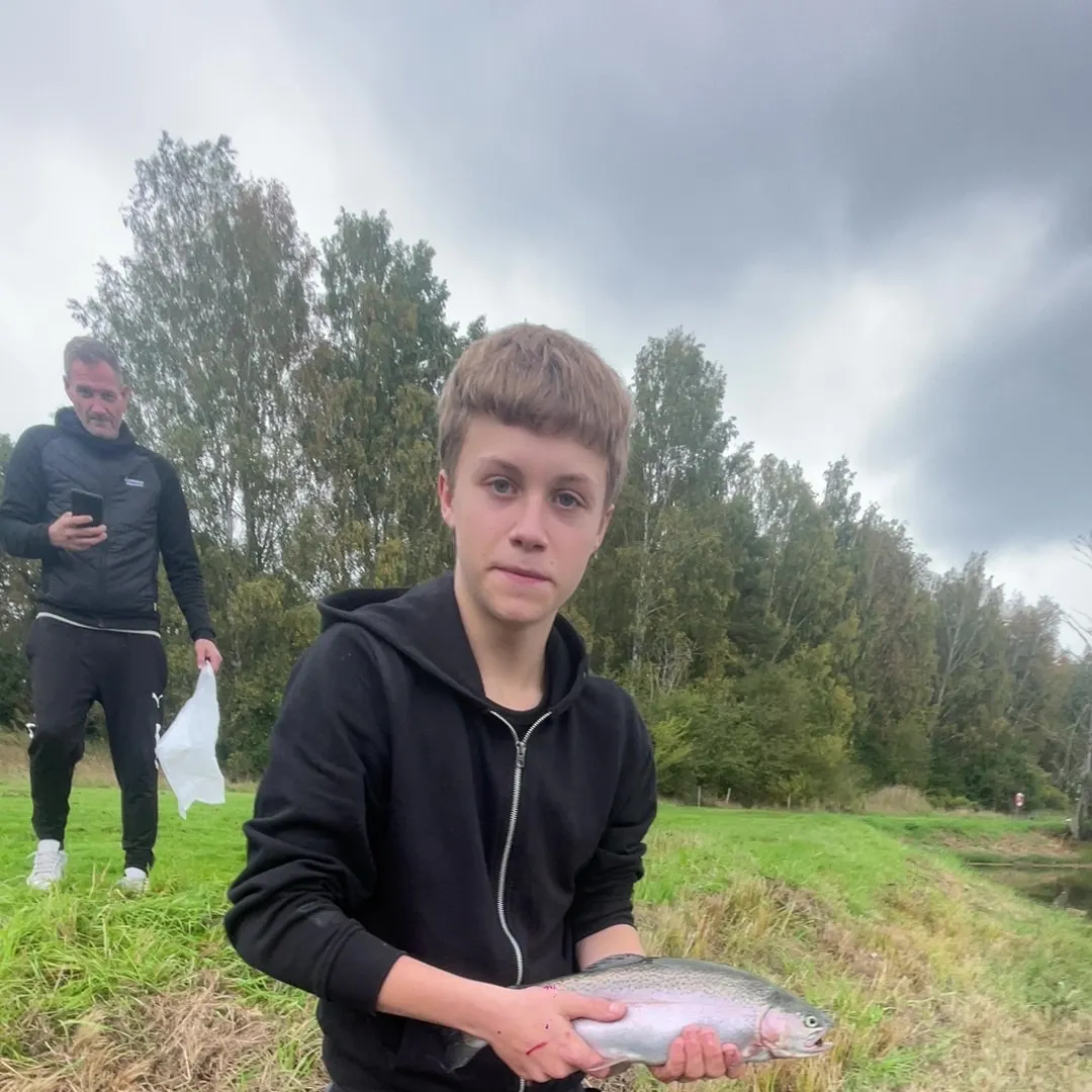 Rainbow trout caught on Fishbrain