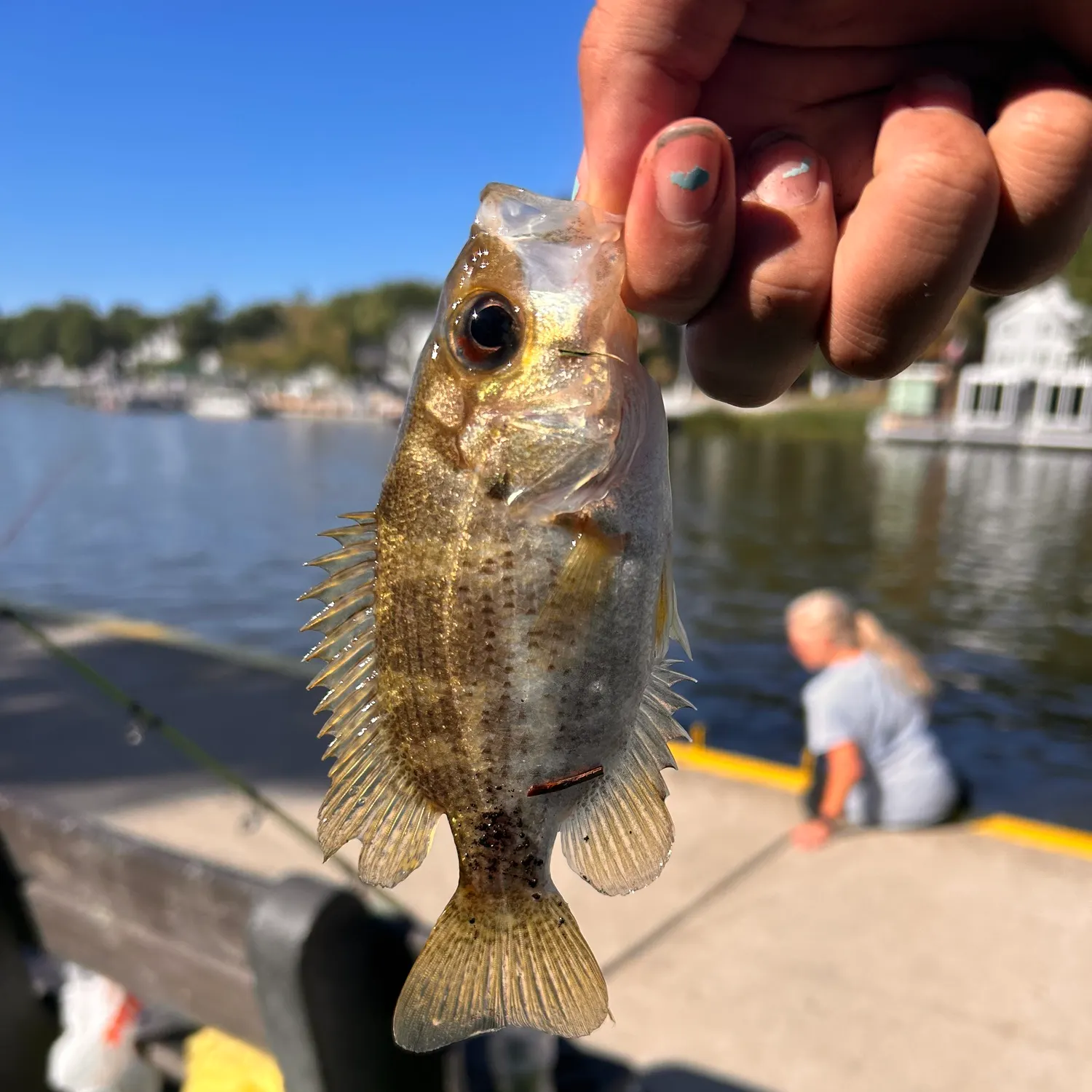 catch