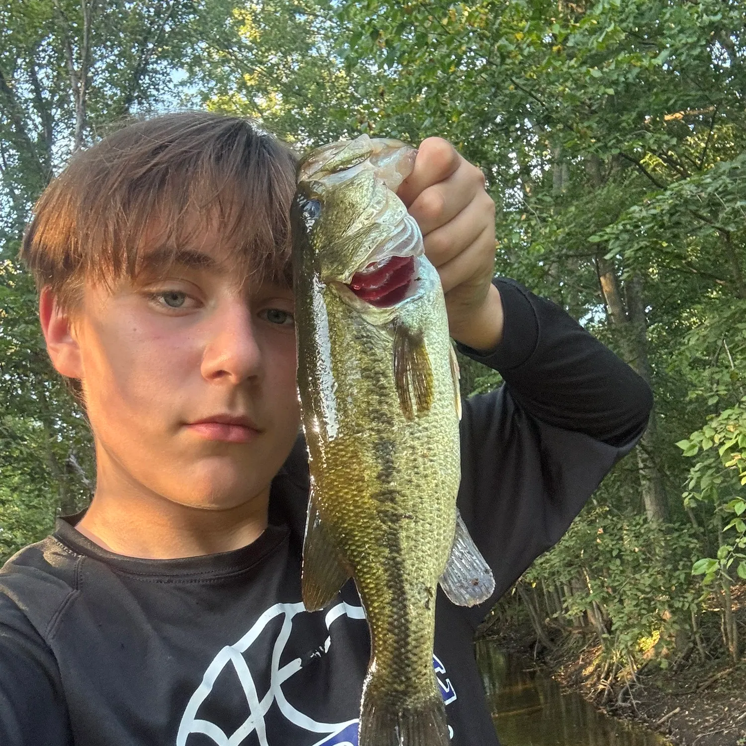 Largemouth bass caught on Fishbrain