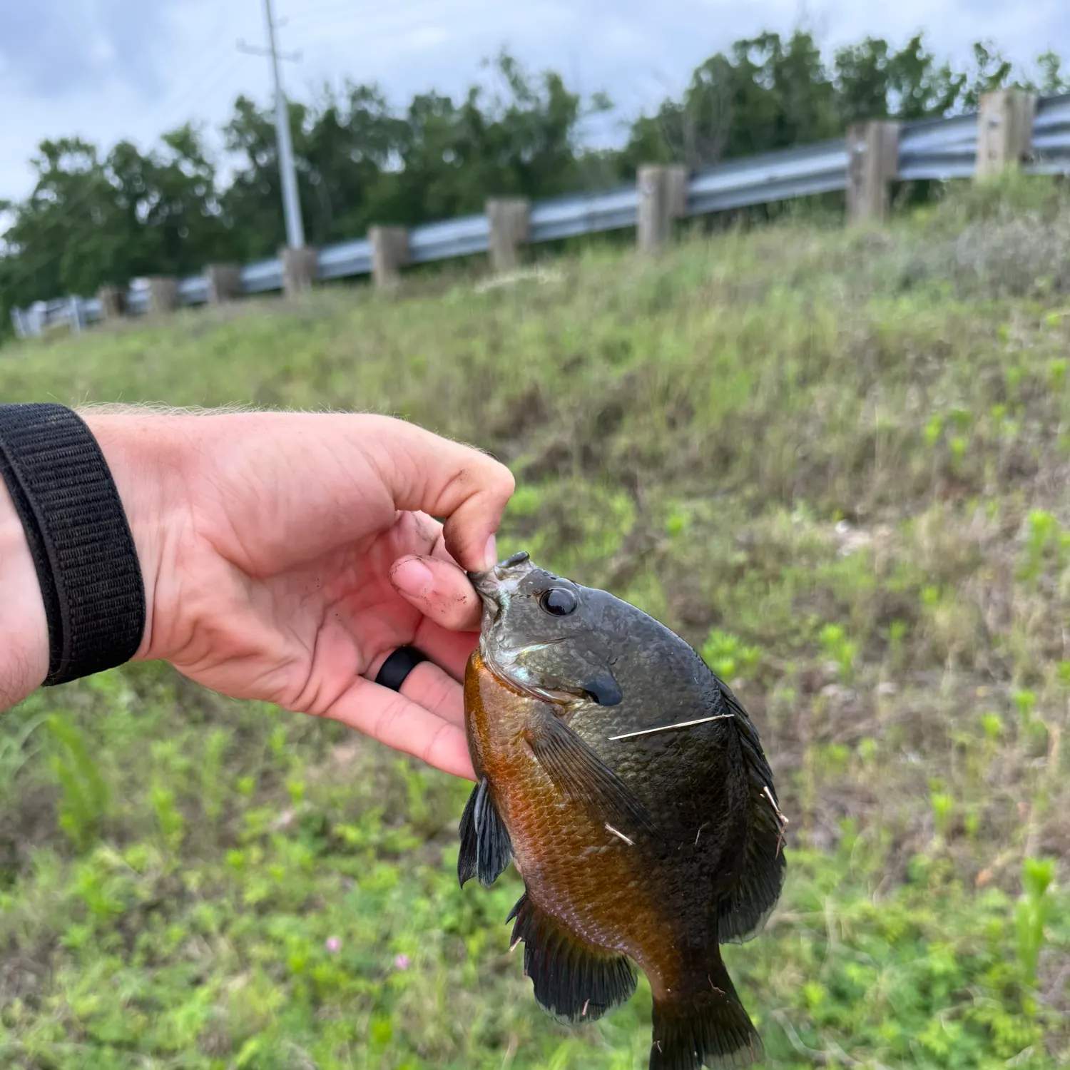 catch