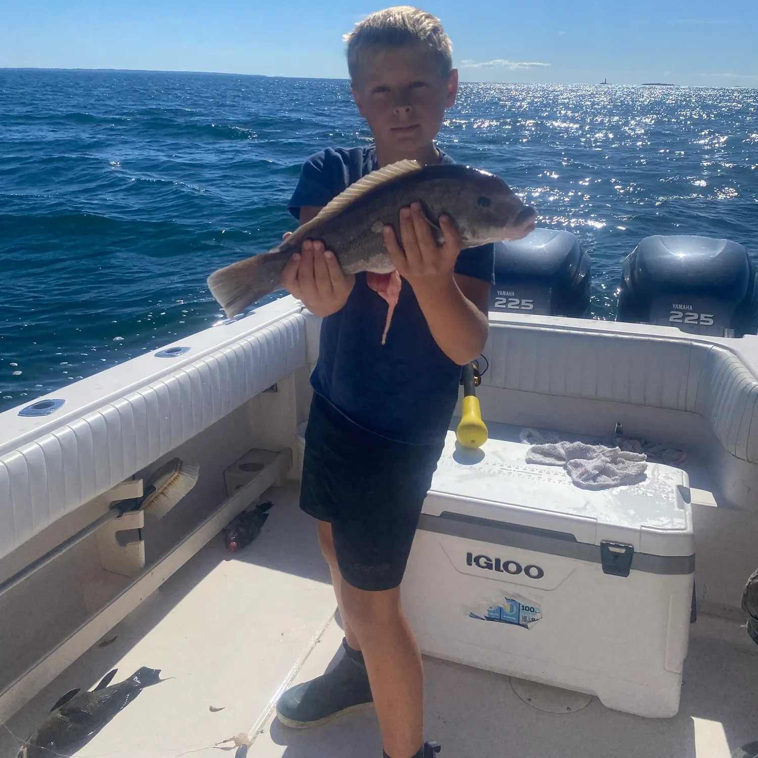 The most recent Tautog catches on Fishbrain