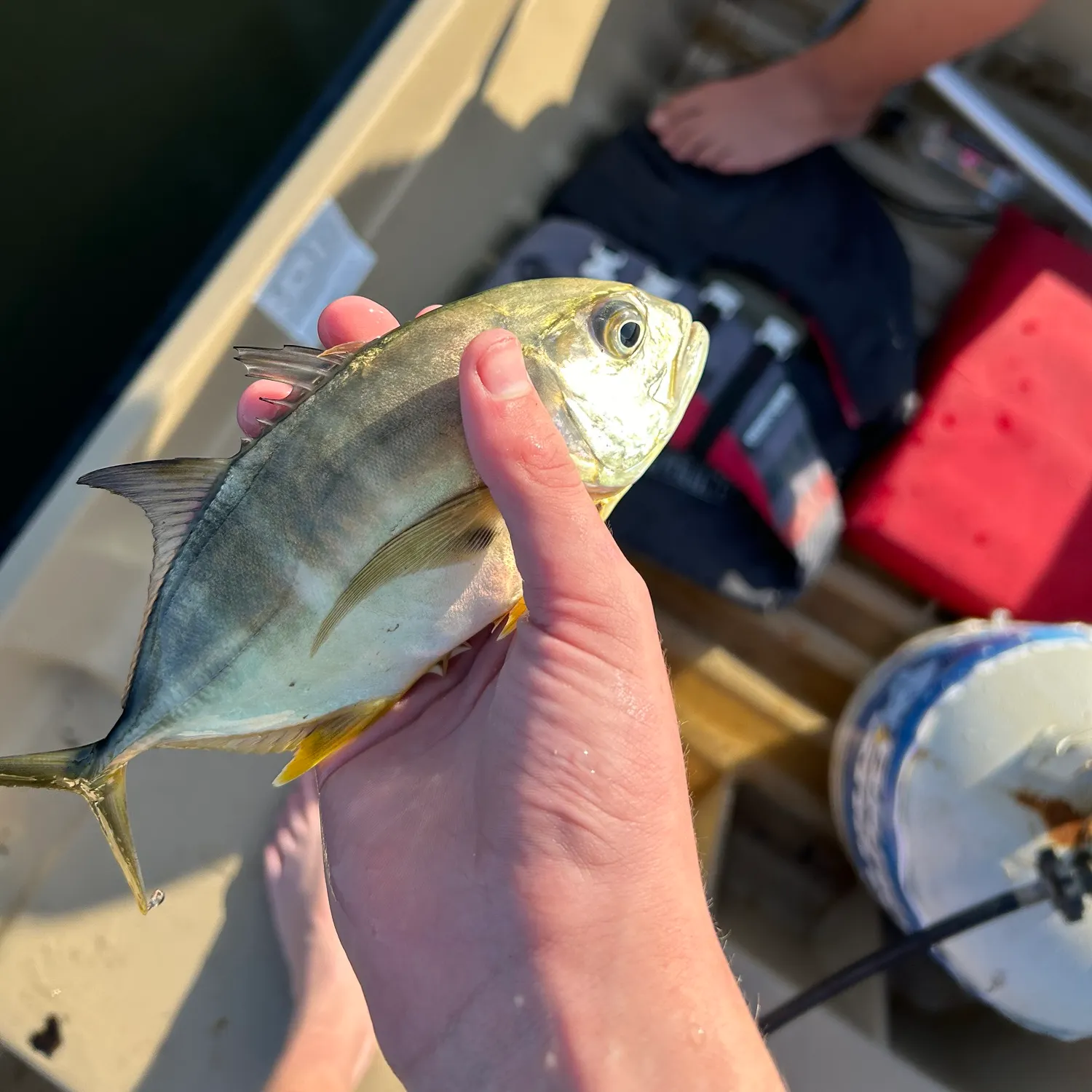The most recent Florida pompano catches on Fishbrain