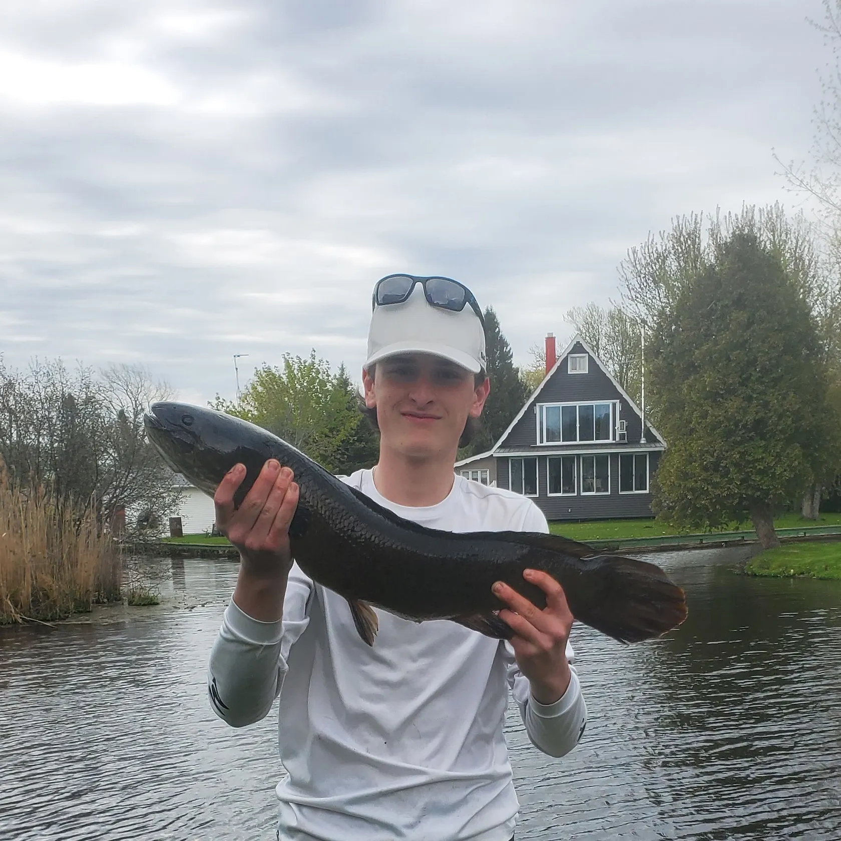 The most recent Eyetail bowfin catches on Fishbrain