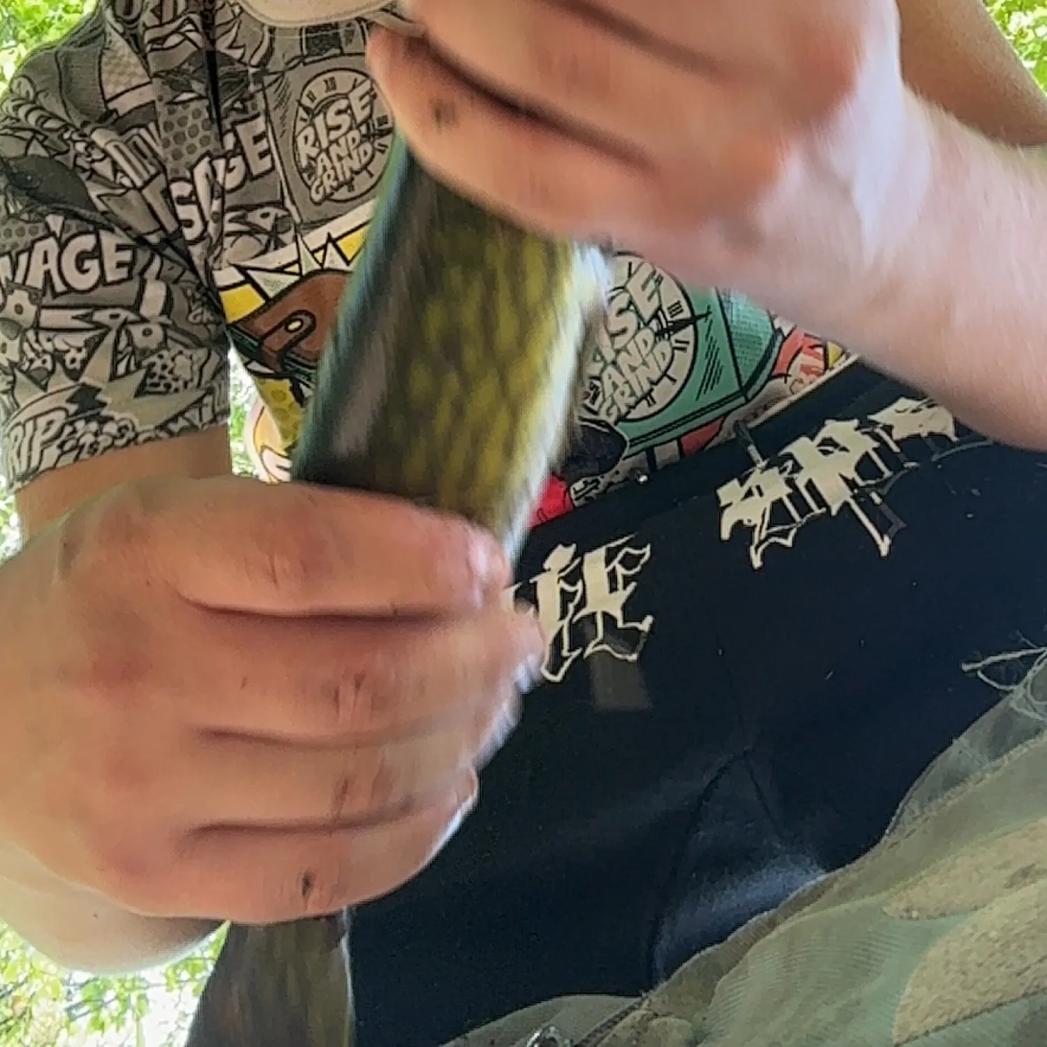 catch