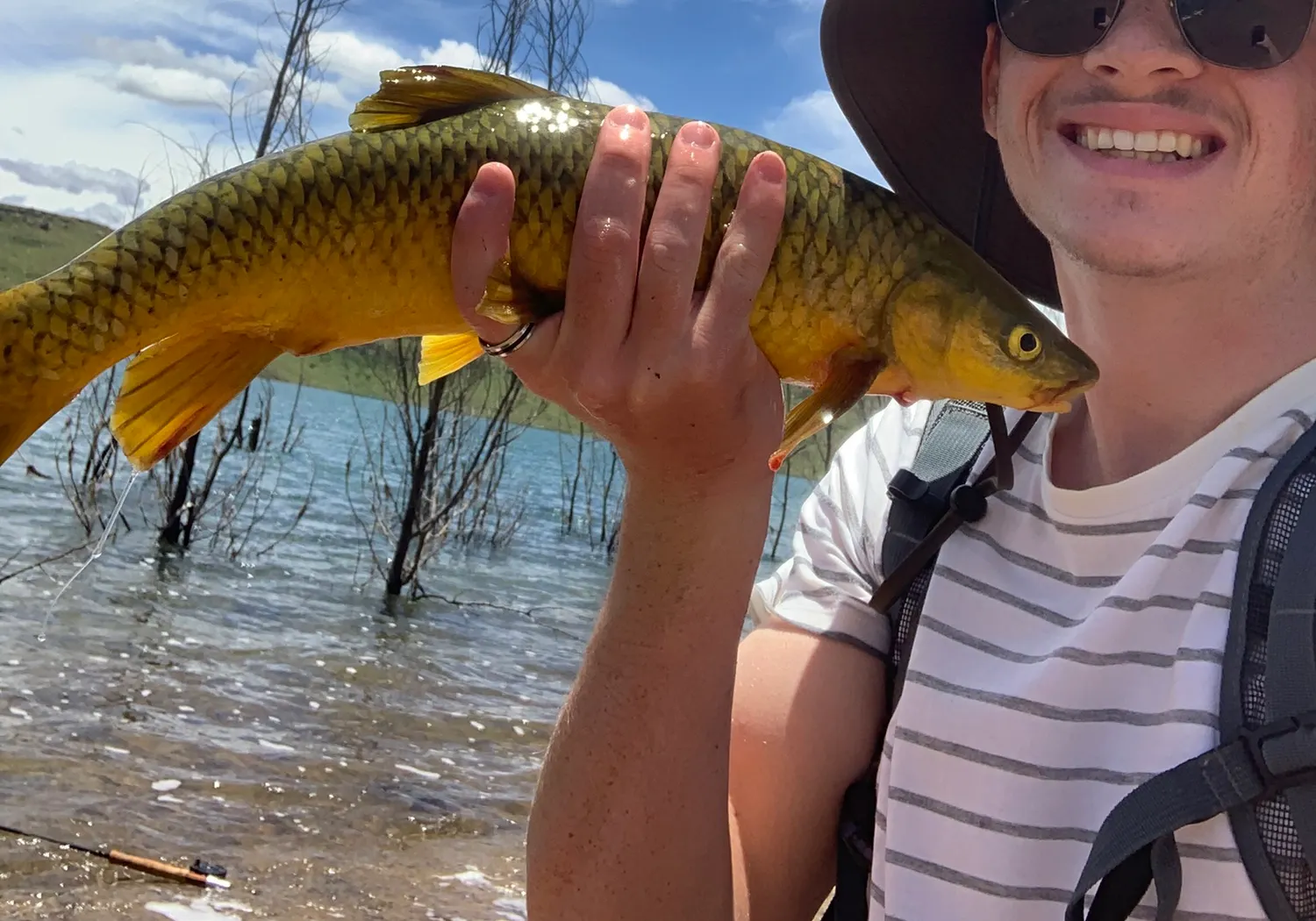 Smallmouth yellowfish