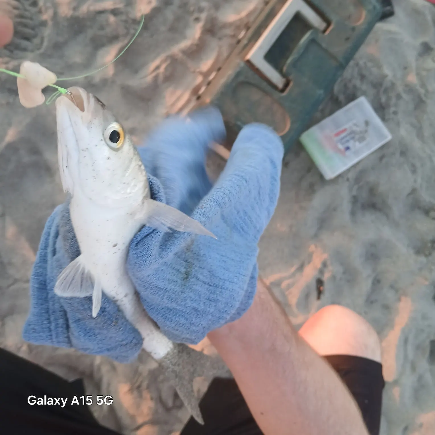 most liked catch image