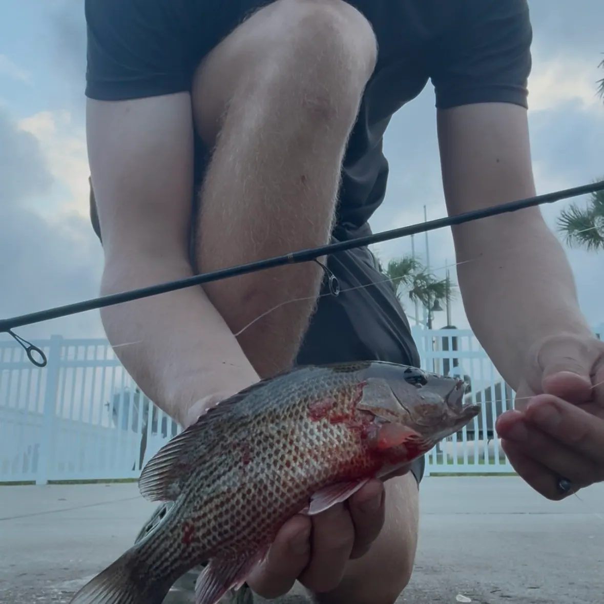 catch