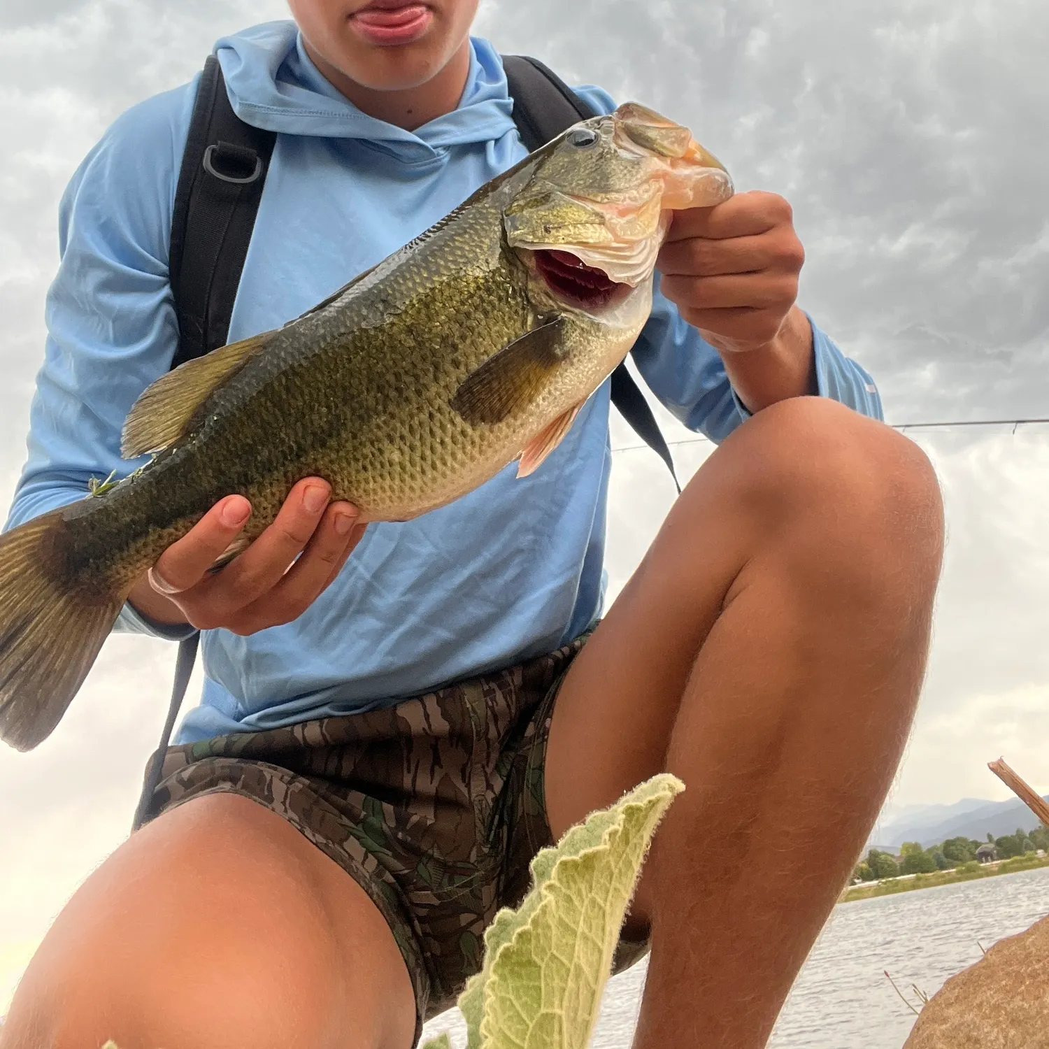 catch